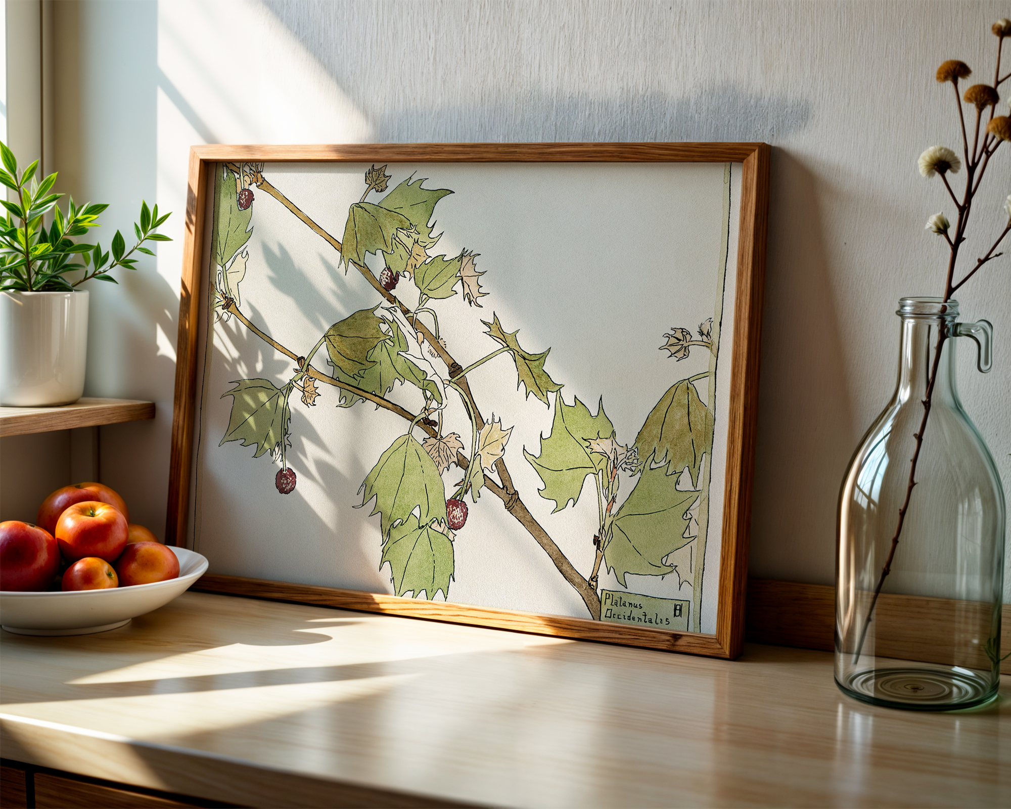 Sycamore-(1915)-by-Hannah-Borger-Overbeck mockup