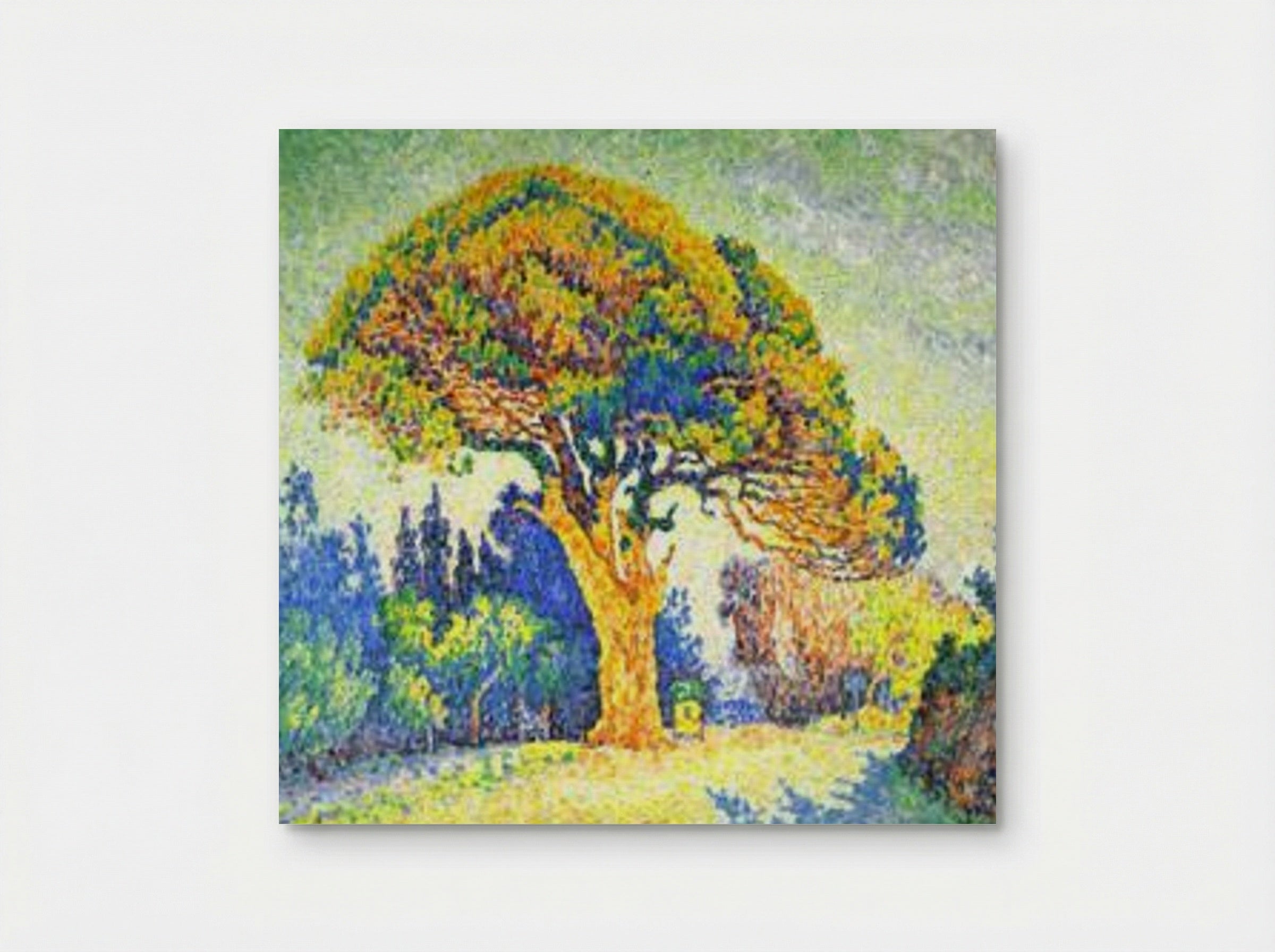 The Pine Tree at St. Tropez - Paul Signac - Poster