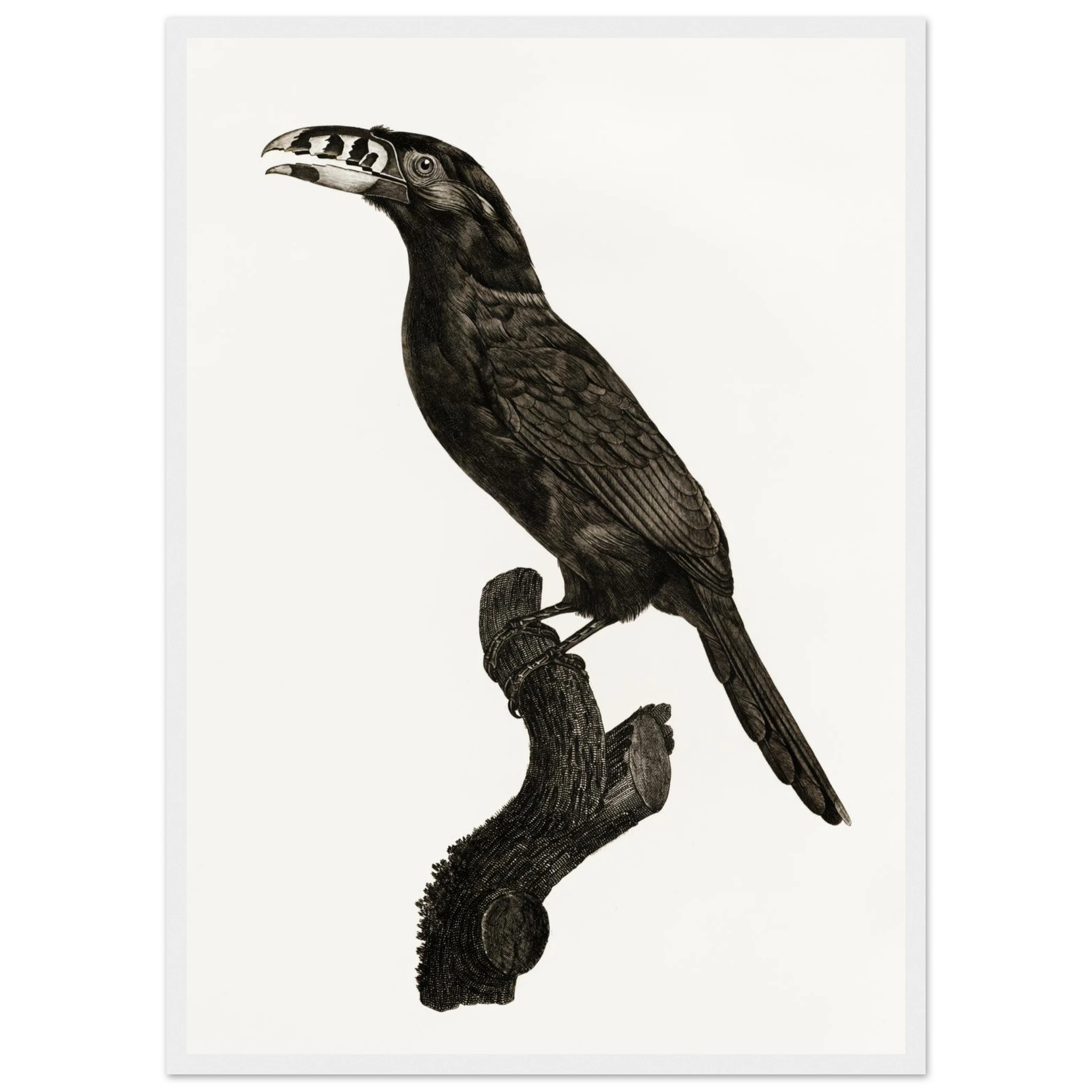 a044e73c-16d4-4667-b158-7a10fb38aea7