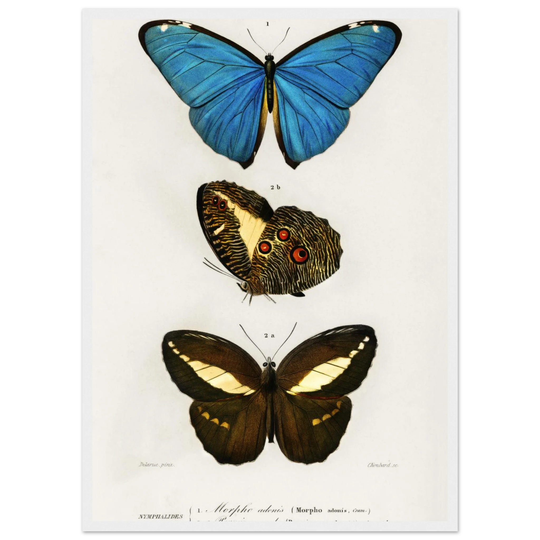 a09bfa45-98cc-4062-b3a6-c5542796ba56