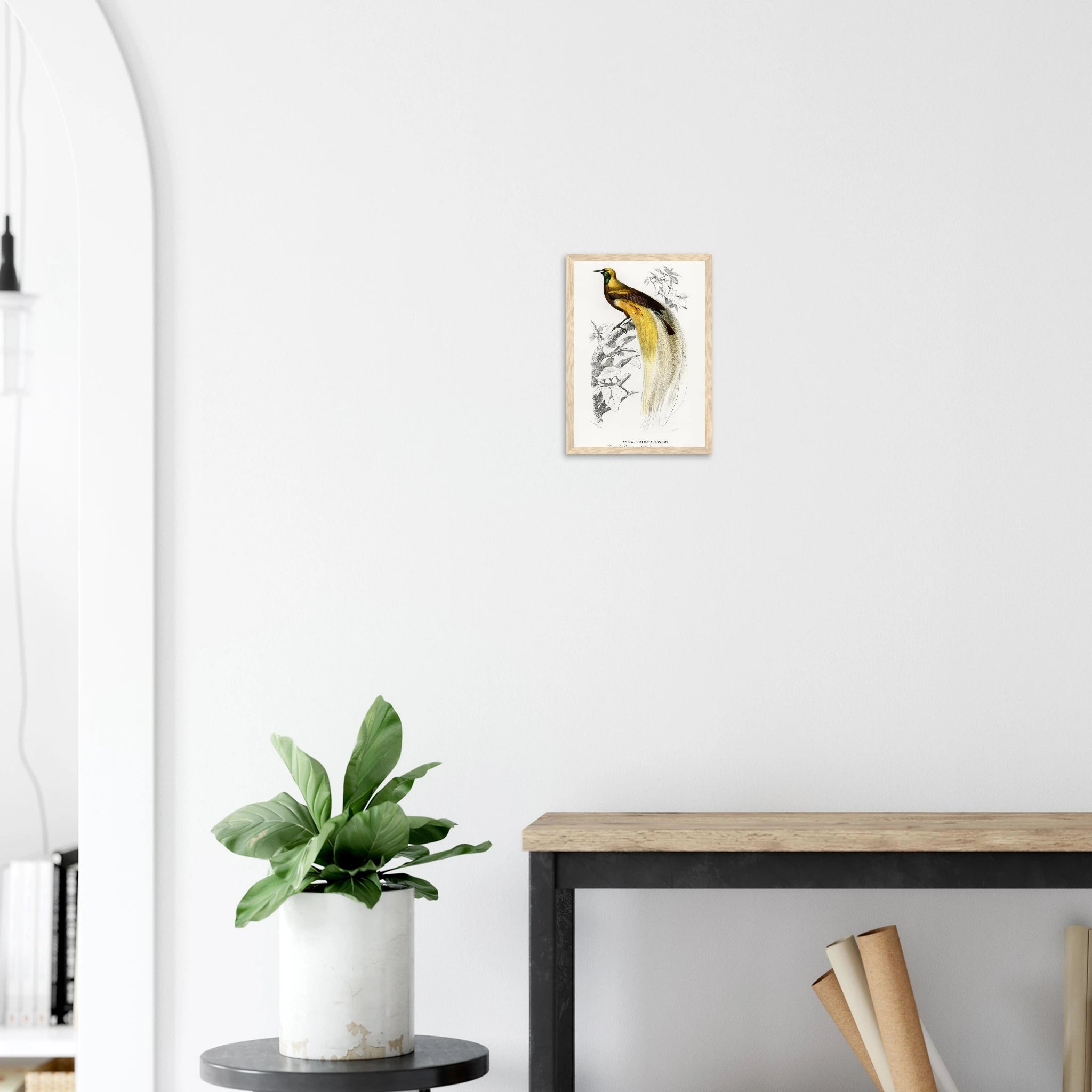 a0a9f9db-e9ac-4d5c-be0a-ba59ffe0f48c