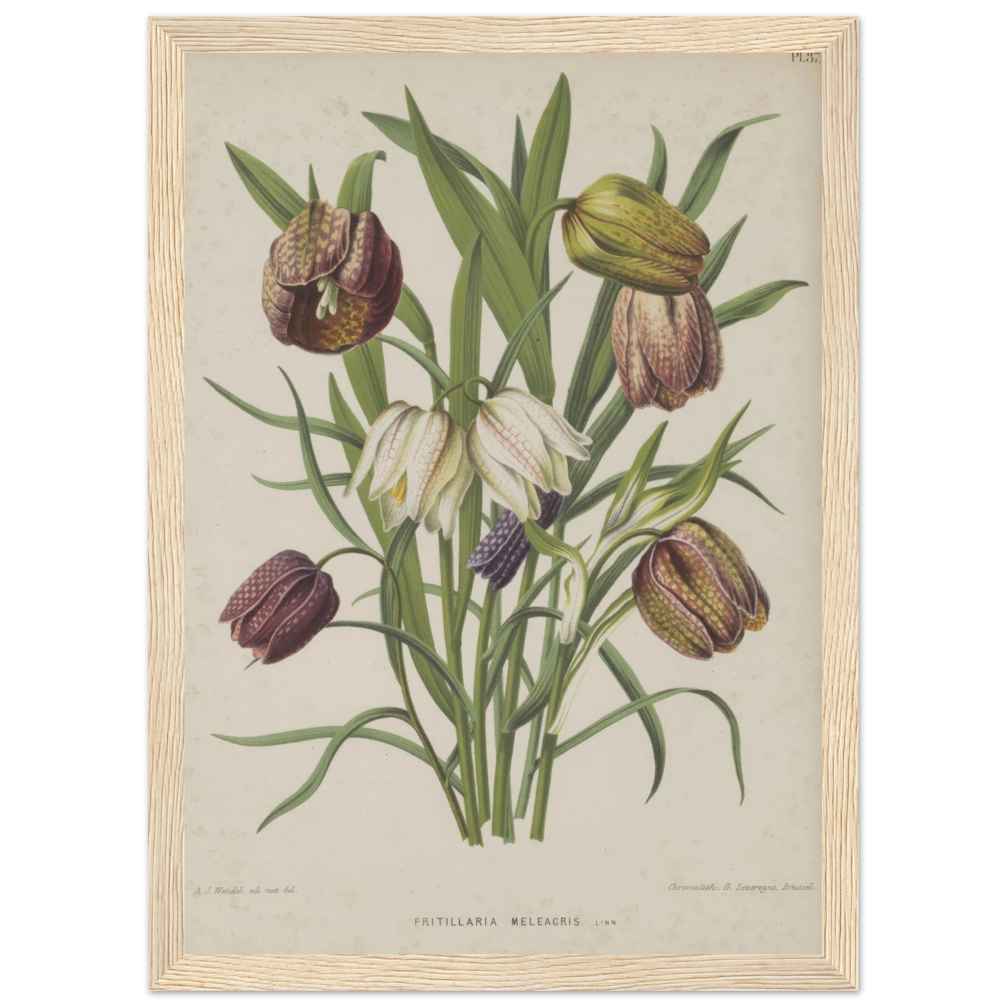 a0c8ddda-92c0-4581-920d-bd5e4cc5f720