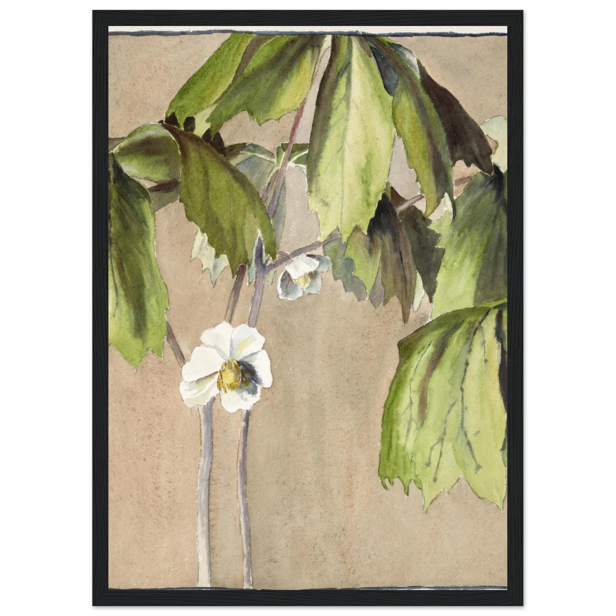 a0f89d60-274f-407e-b393-24dcfaa45b44