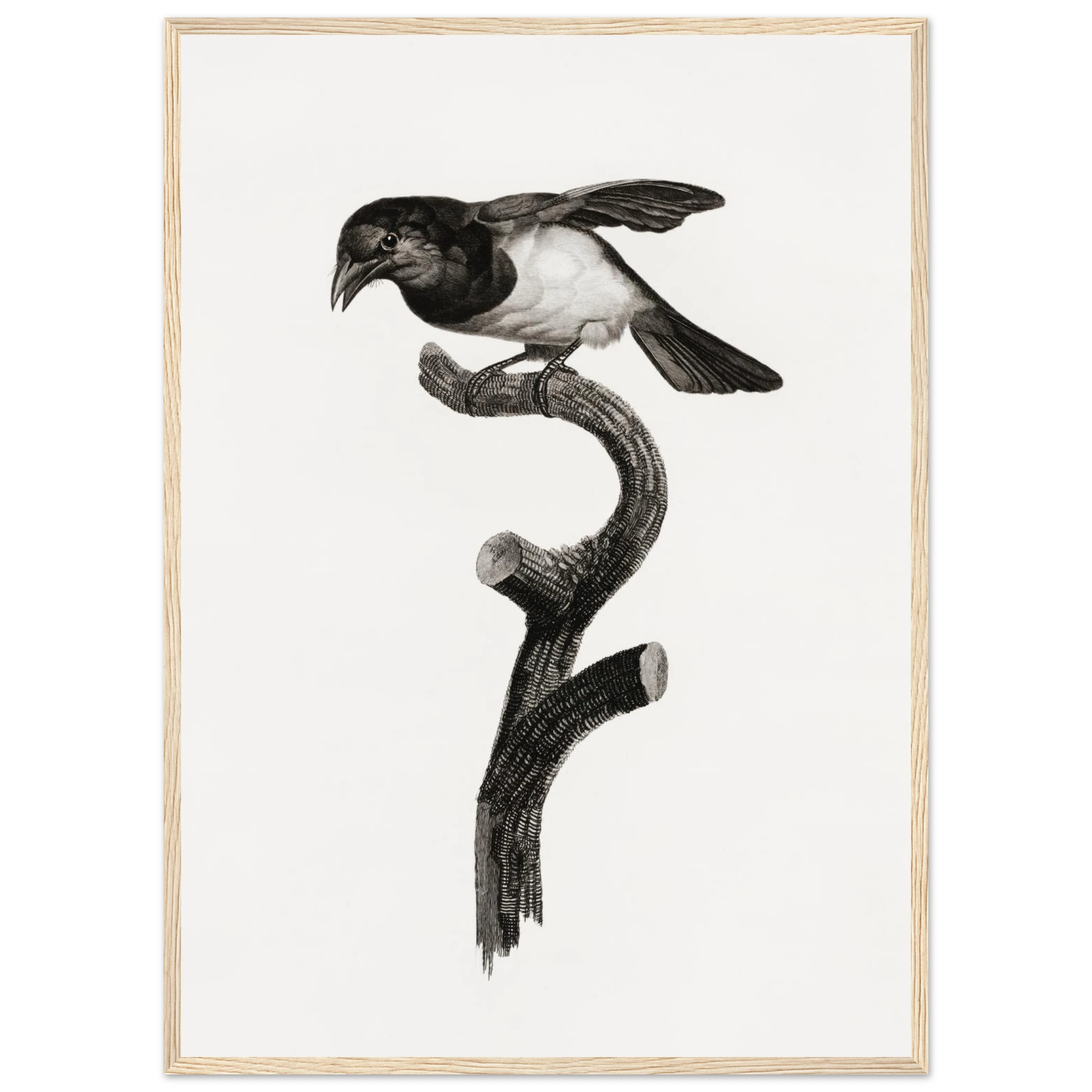 a123fb72-31b4-4fe6-b06b-9f616c33a2fc