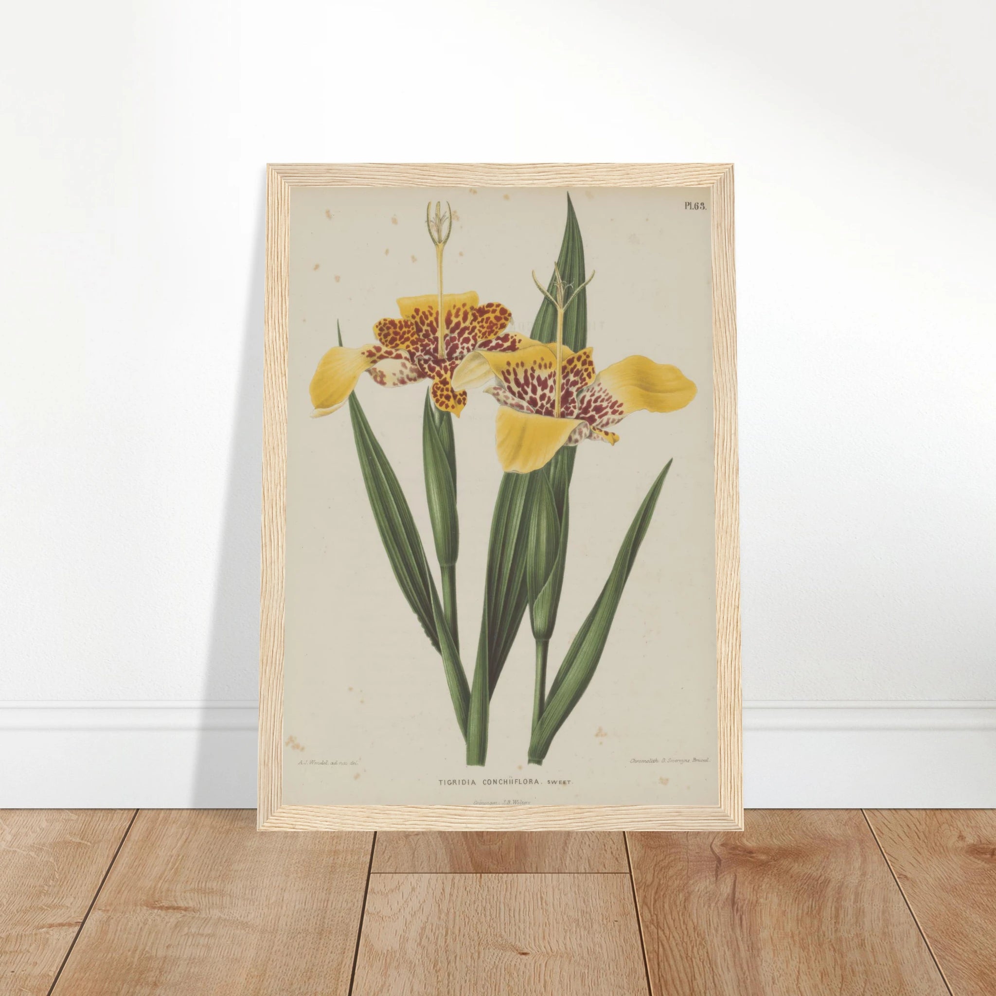 a1299d4d-60a9-4f18-930d-376d2744043b