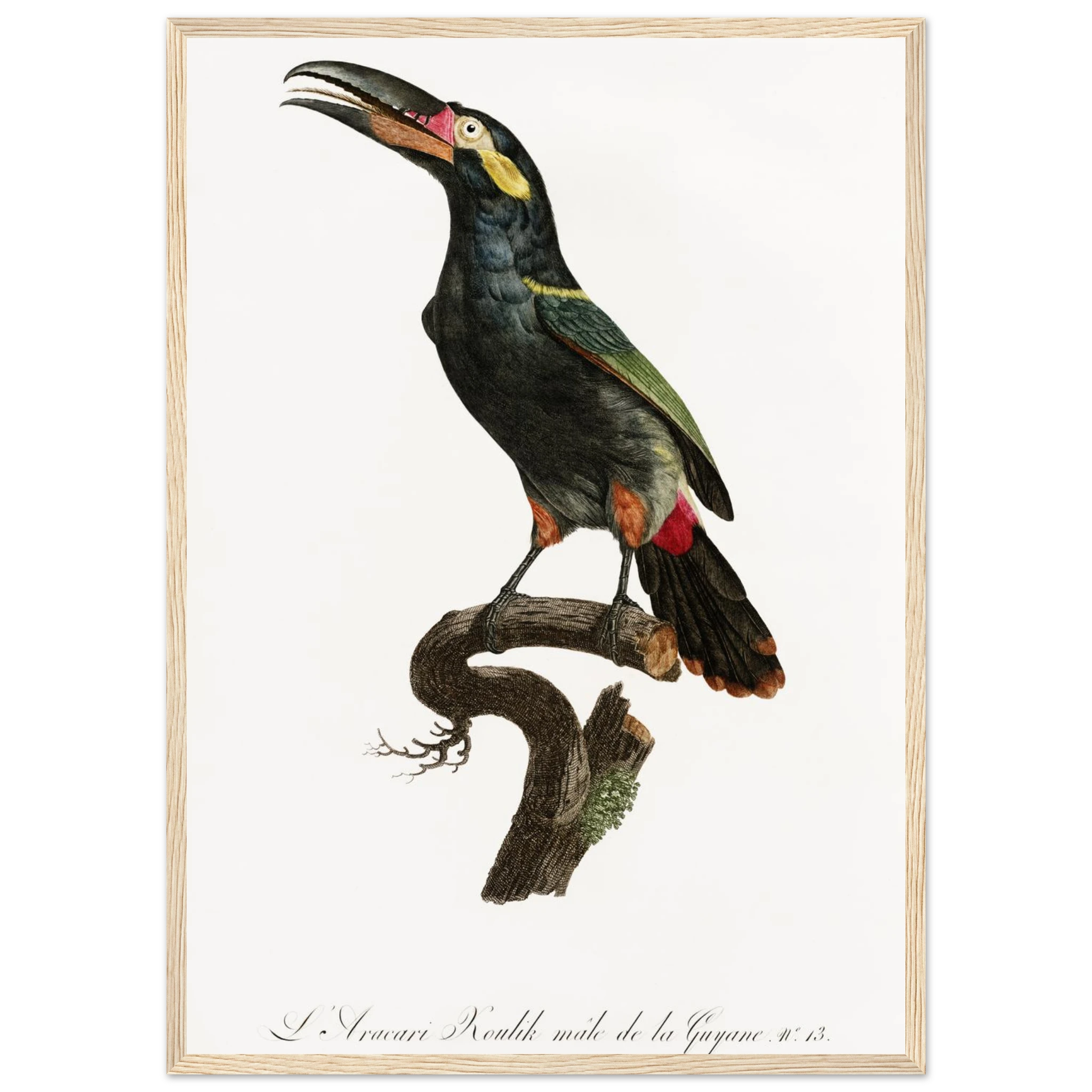 a13706a2-6097-4913-a1f8-6f1bc82bcb8a