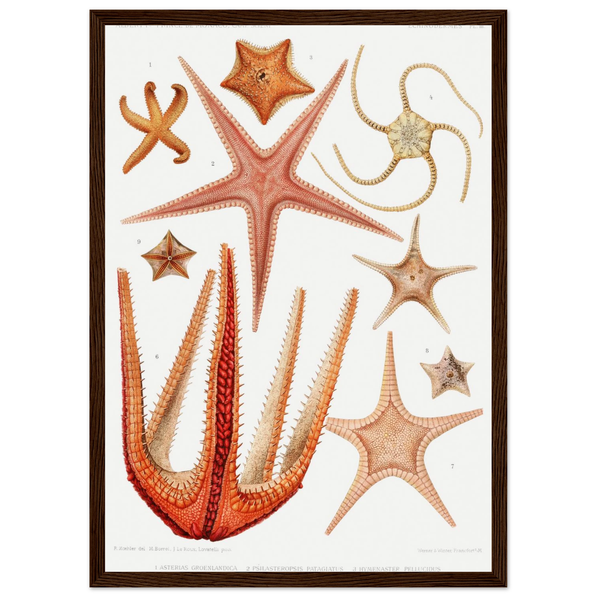 a1497012-6ebe-40bb-a7ba-c6481c04fbd4