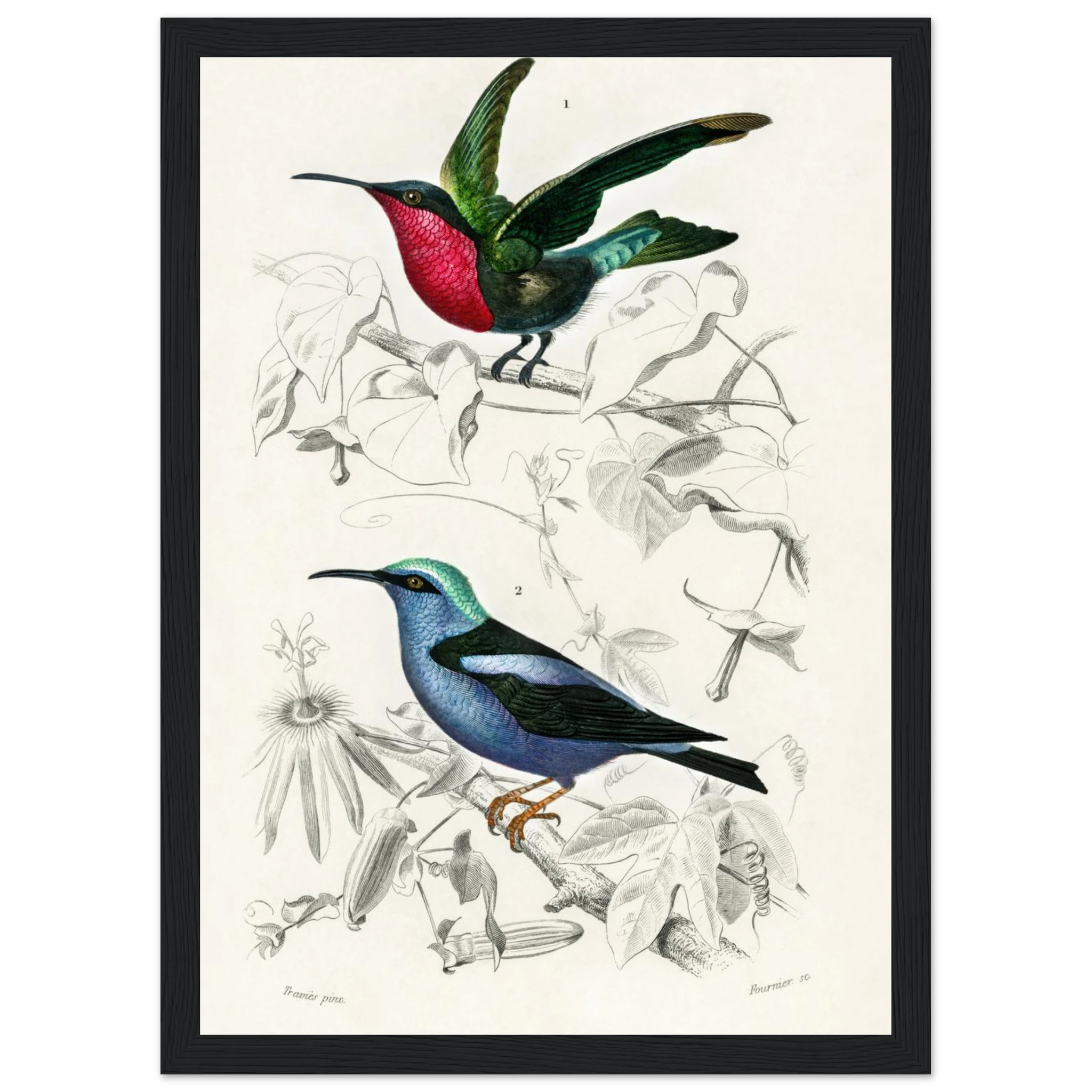 a17a25b7-a8e1-46c6-aac5-4b99f0f29714