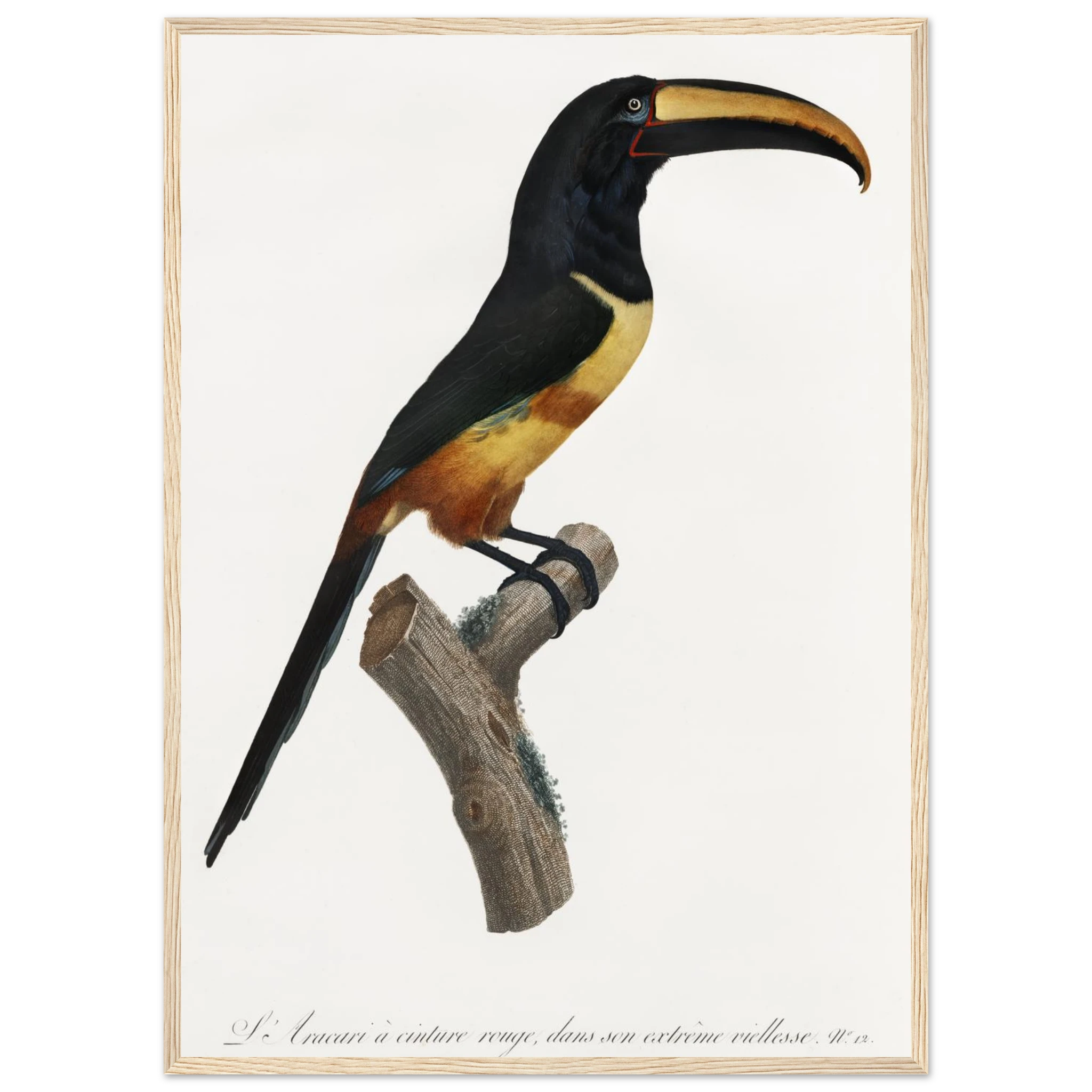 a1b1ee60-4d1c-4139-9800-32e97dfee208