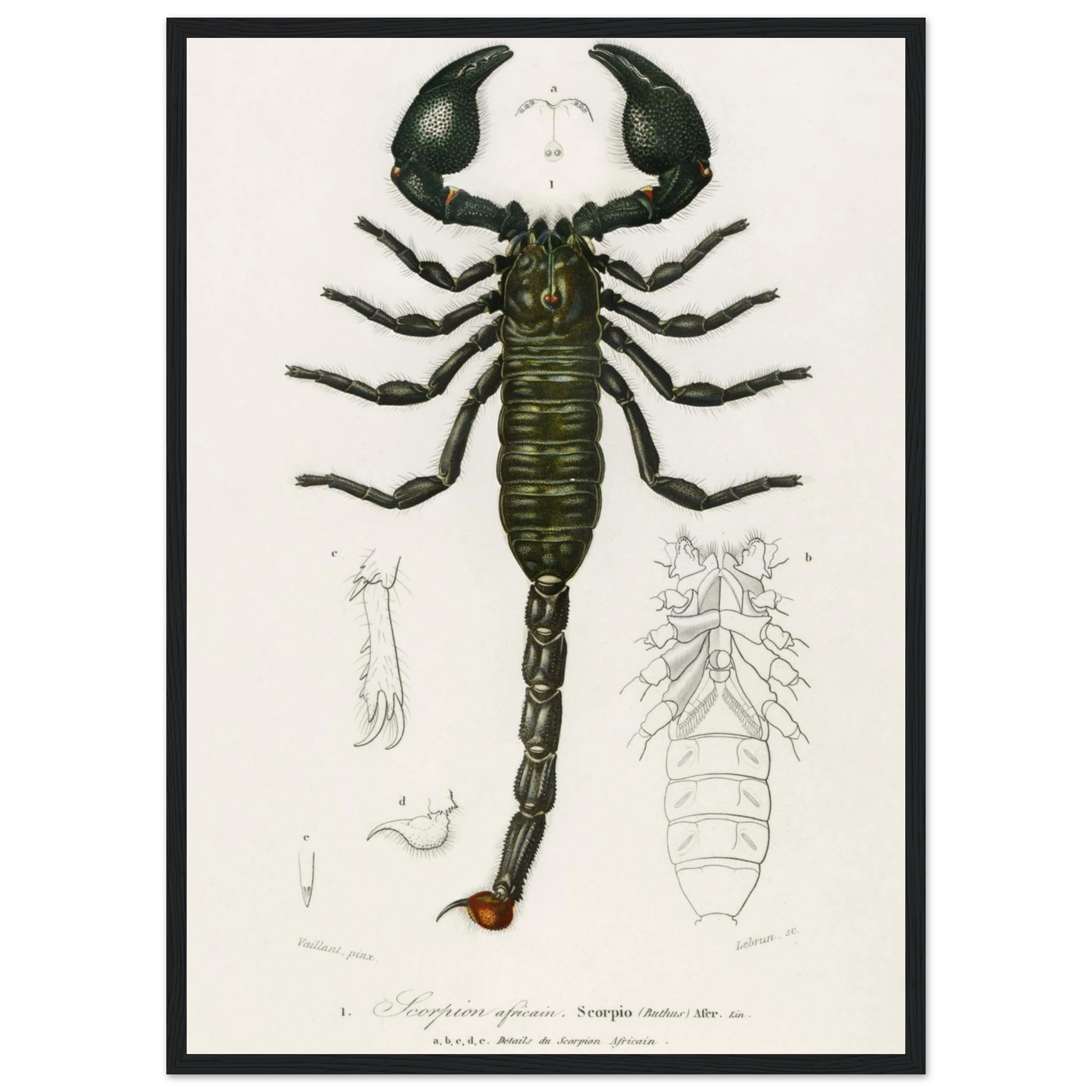 a1d38c68-75df-4fa8-b6d6-8fd6e17feffc