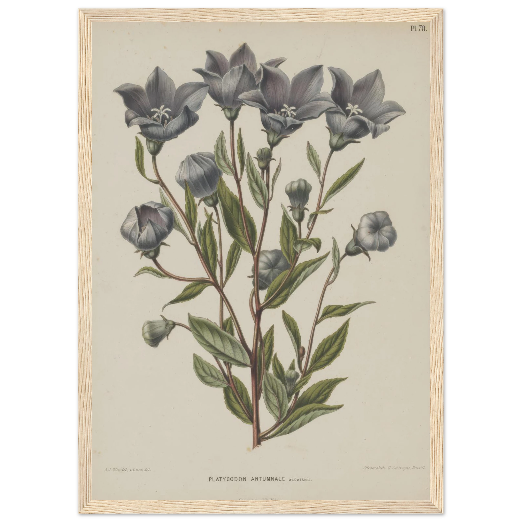 a1f8aed6-f18f-46d7-86f8-1cbde678fb76