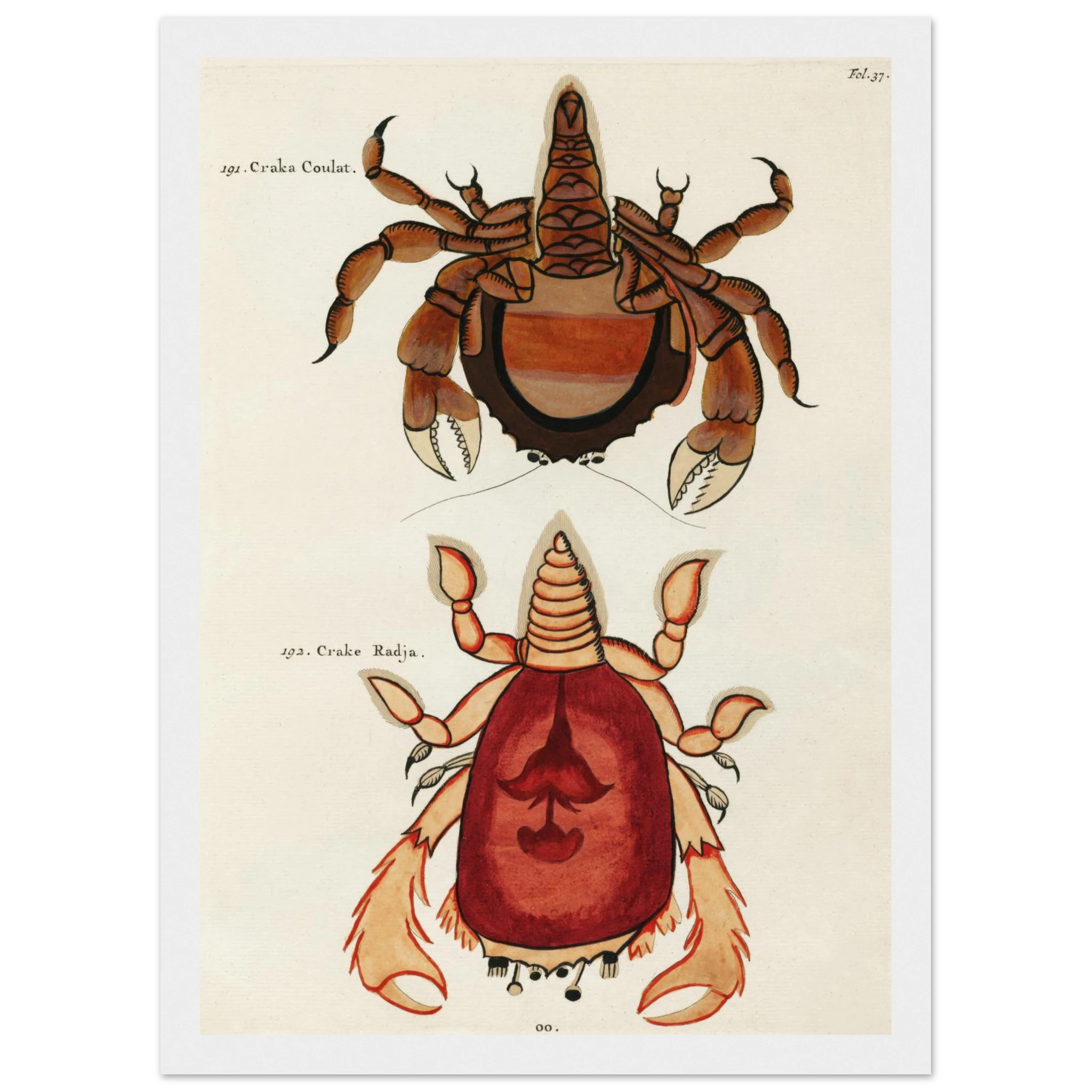 a1fddd87-9dac-4ea2-850d-ba2753aacd20