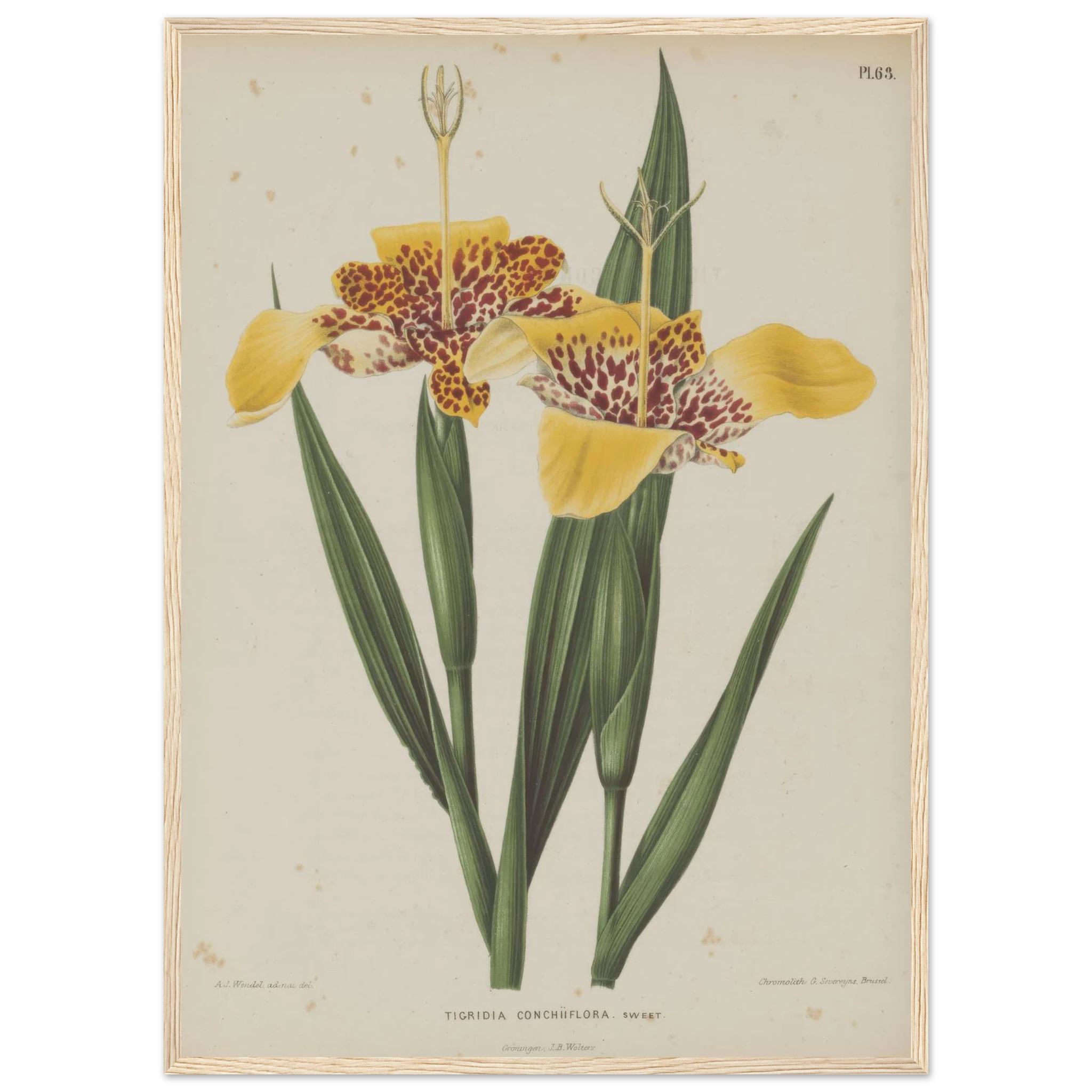 a223ef11-10e1-4920-9e4d-ceaf4f3a8e41