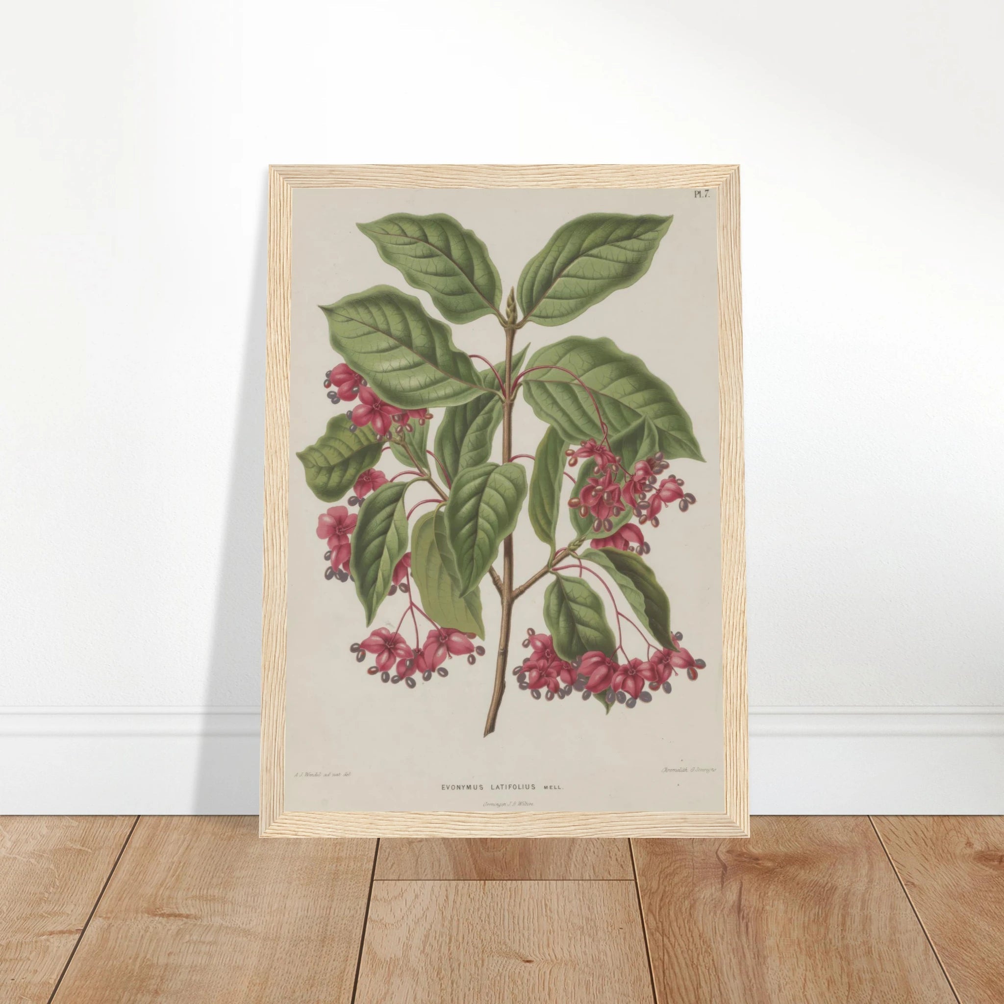 a27cf041-2454-4ee9-bae0-585a195ae2f4