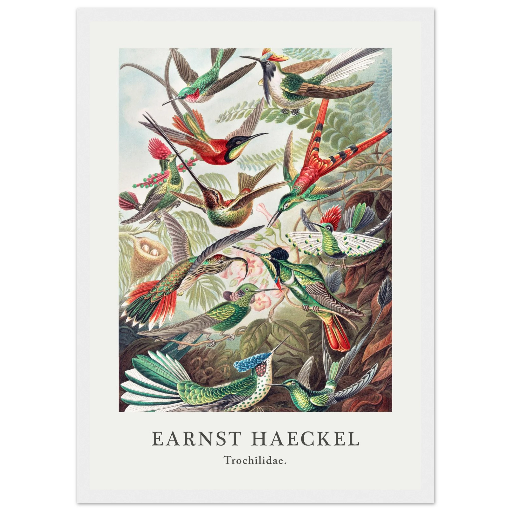 a27e6691-01e6-465b-be5b-db3983d41f85