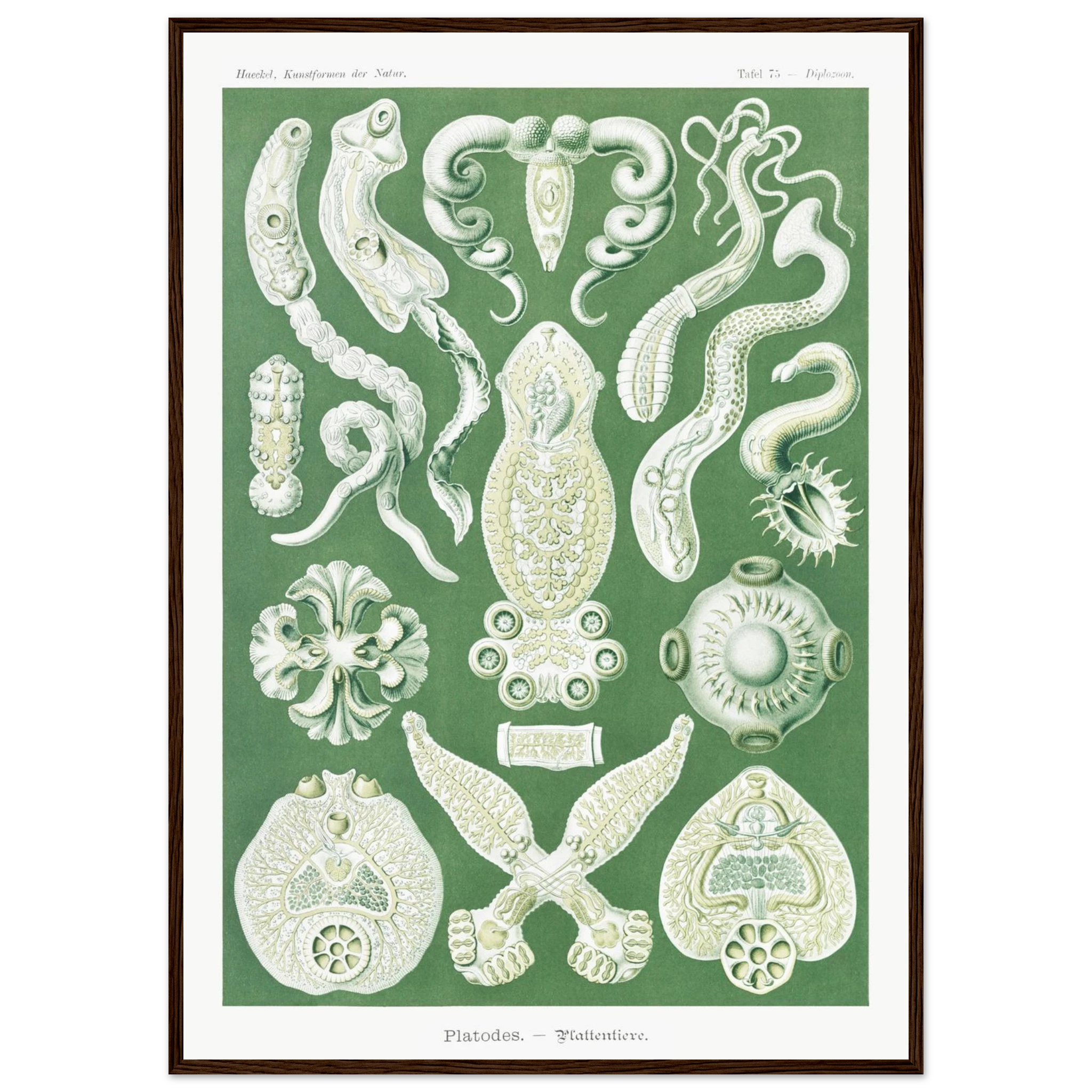 a2b630c2-9dbc-4528-9c41-322fc0998c6b