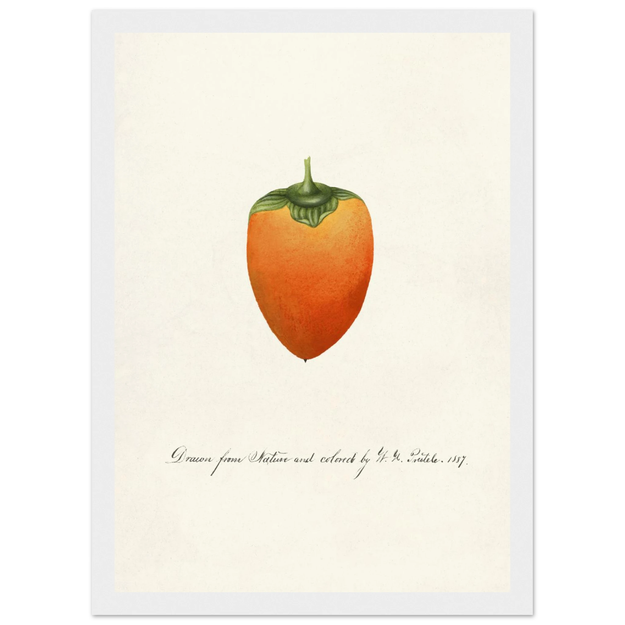 a2c91719-ed84-4d8c-8161-f4abc6a96dff