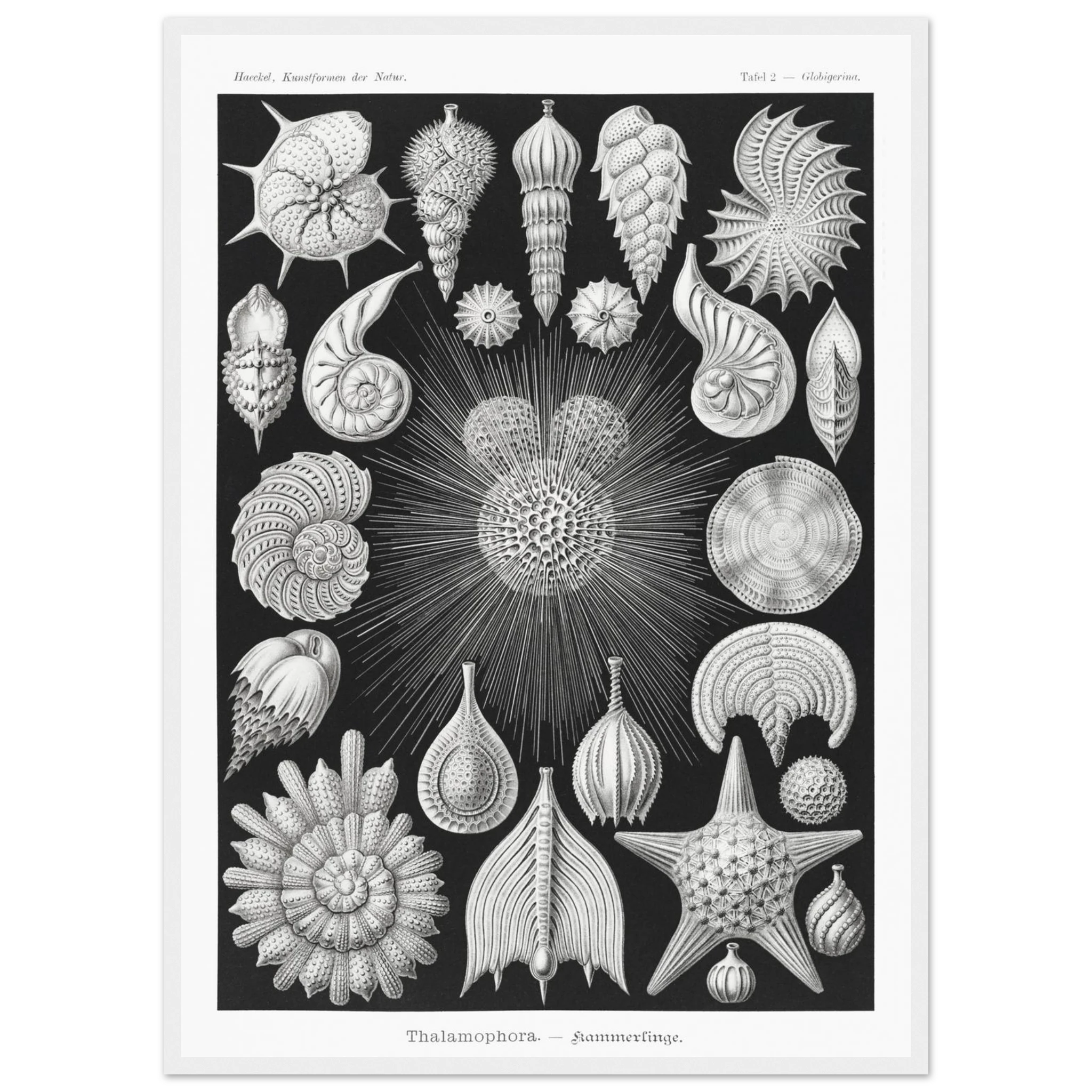 a372f191-005a-4b78-9c12-b5175d384c24