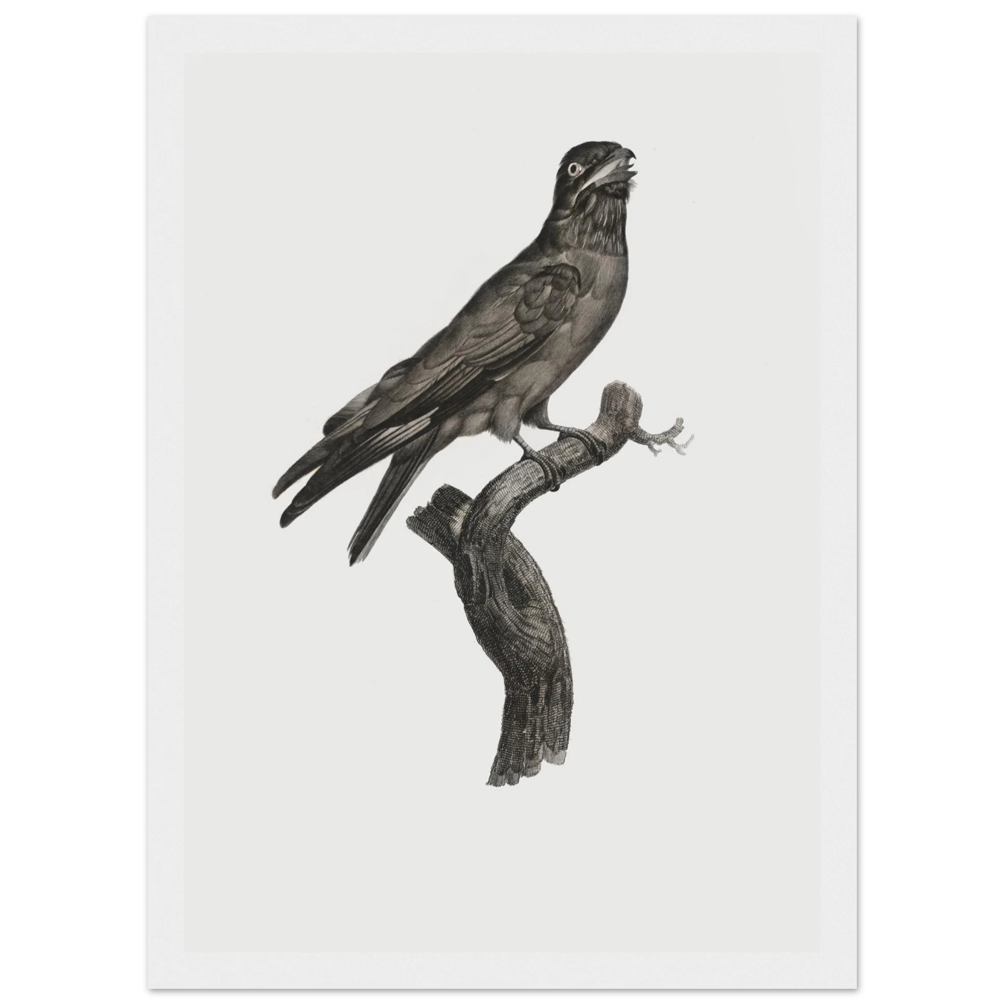 a3f54bda-96ad-41c9-838c-ae888df618ef