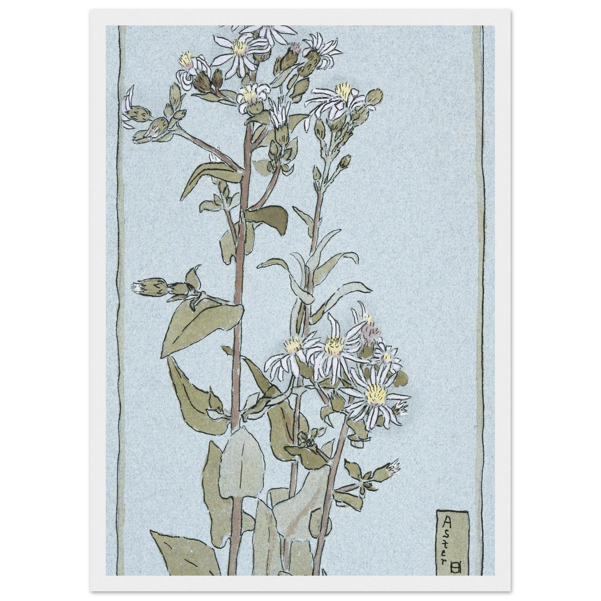 a3fe76ba-1b6c-4940-83c3-c728aabfcac2