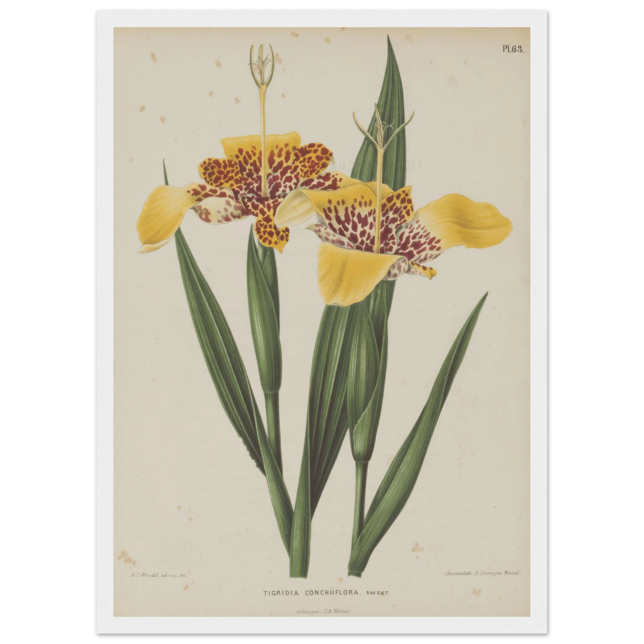 a3ff4b48-0b8a-4498-872a-cbcb3912f5c5