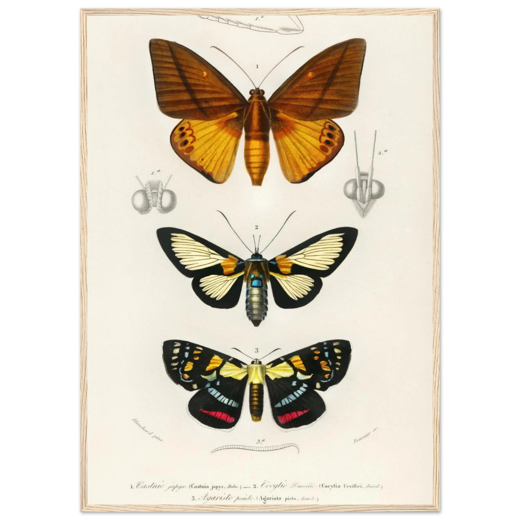 a410bb2b-af10-4128-932a-eb7d3d291f28