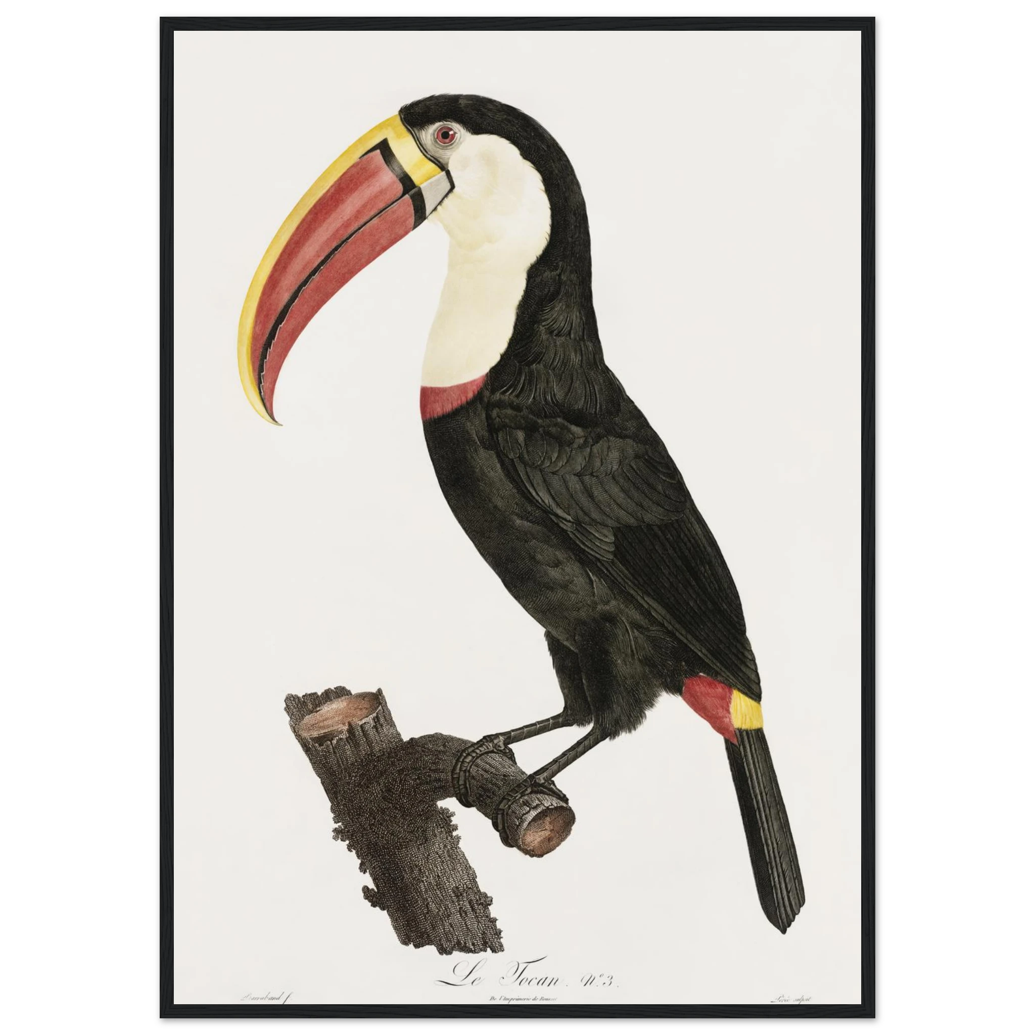 a431d87b-2489-4004-9ecb-0c25369129cc