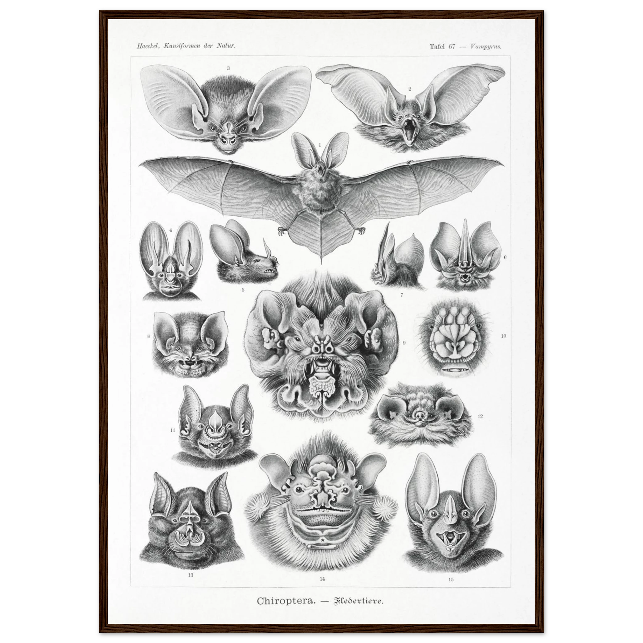 a445e56d-e746-4817-b5d4-647169f8c2b3