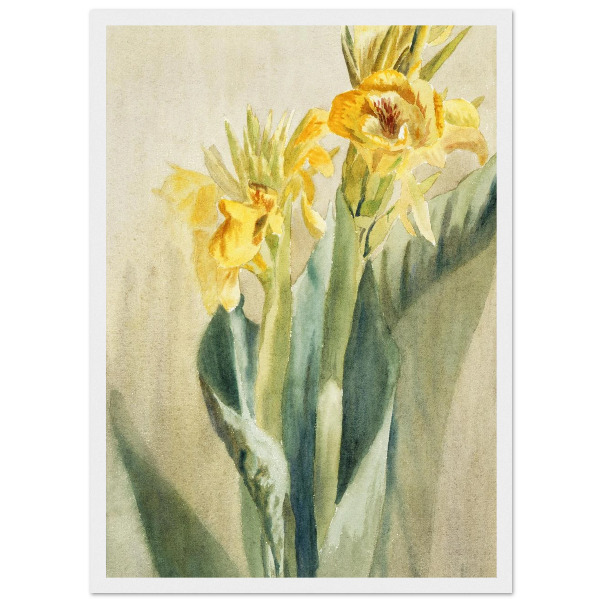 a4a33265-2d2d-4f7e-9b6a-e2f1964ee657