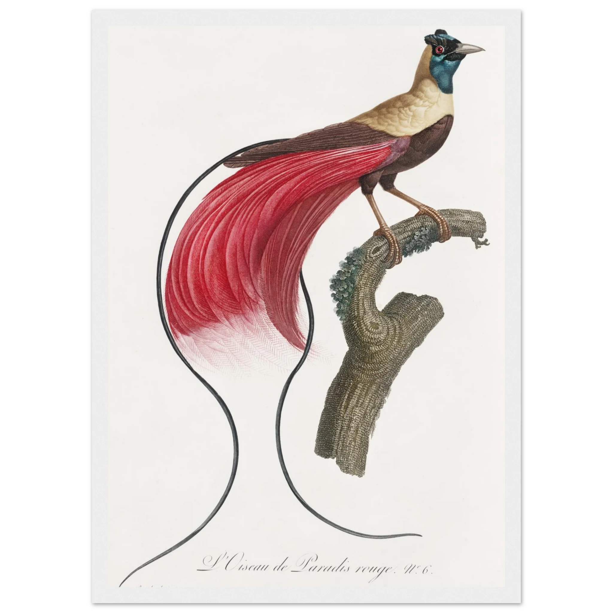 a4a96610-386e-48f3-b429-a3eeaf719270