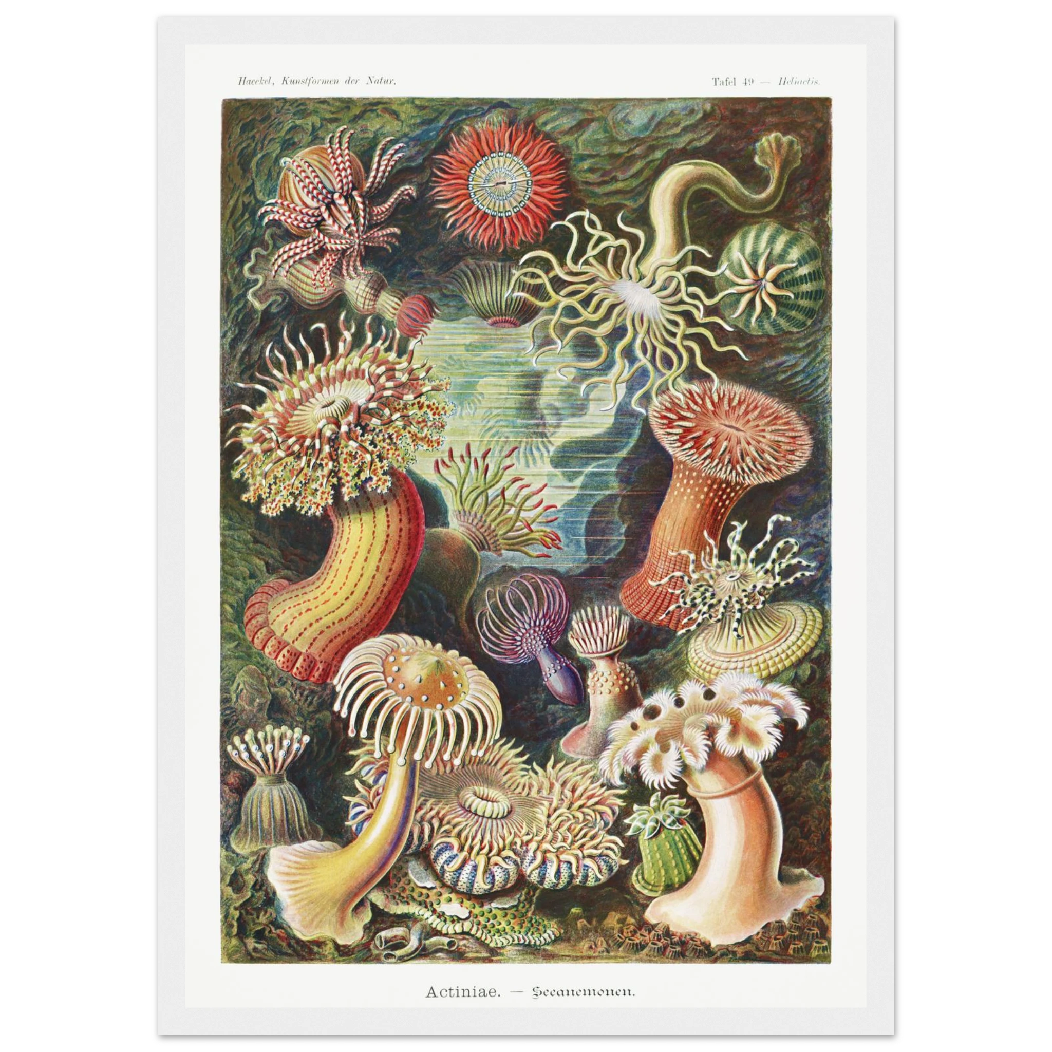 a5116251-97e4-4d49-88db-f31ee83edded