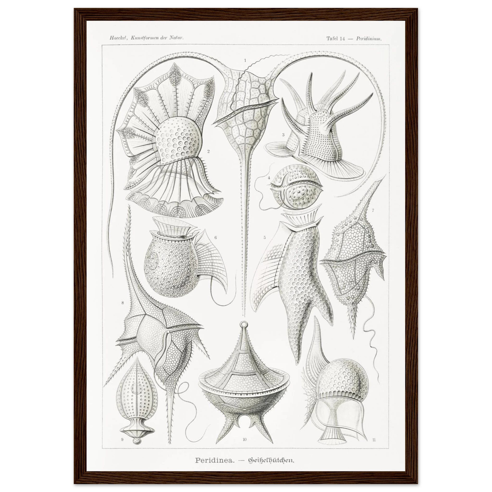 a5531ba3-b7e2-4c96-b458-53241ef9b61e