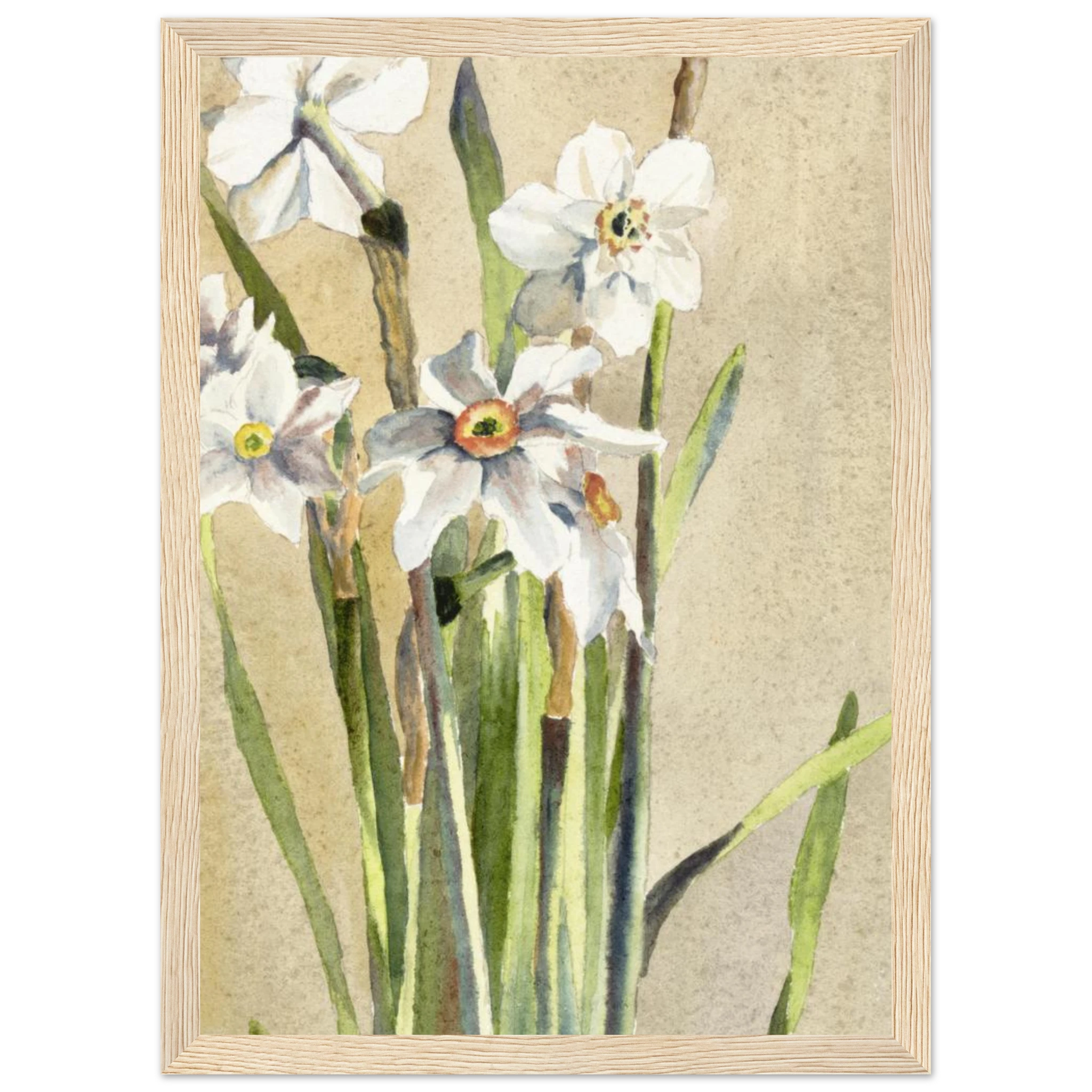 a55e30ca-4a25-4f59-9d0b-13c438d8402b