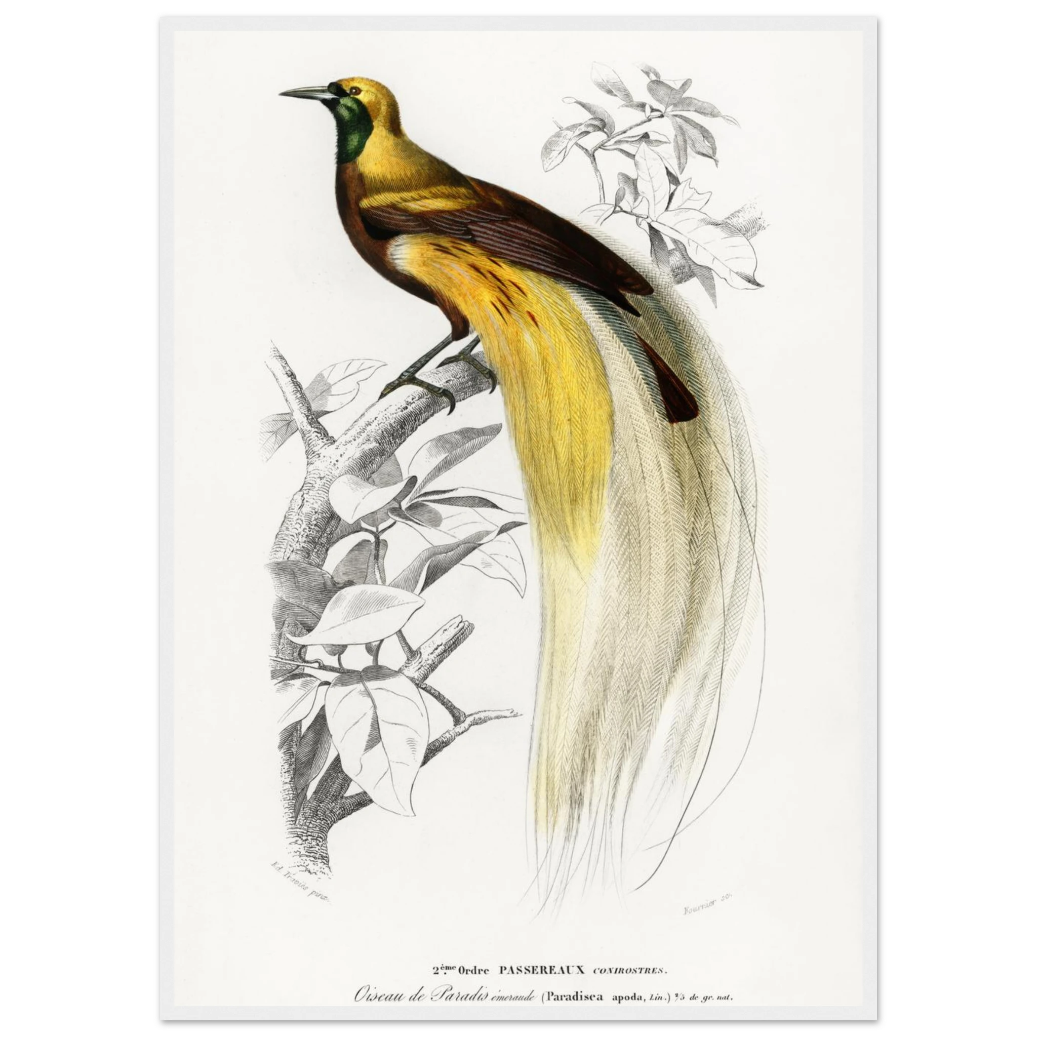 a5618591-660b-489c-803b-9a5ca50dc043