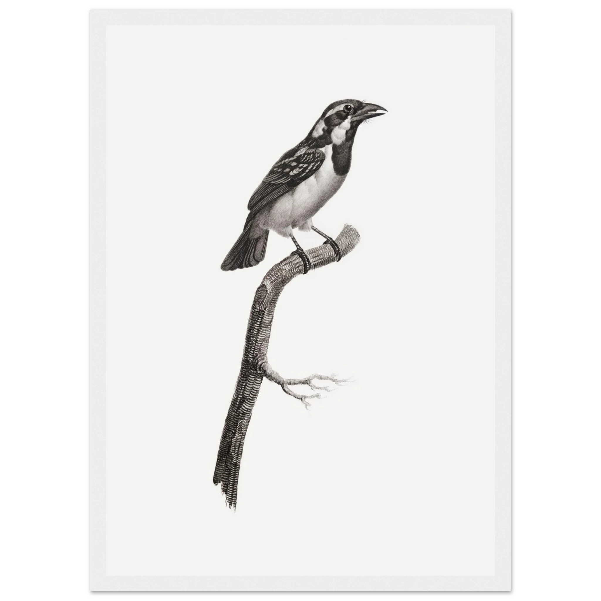 a5d4f307-c713-4b2b-b6c4-88e800778622