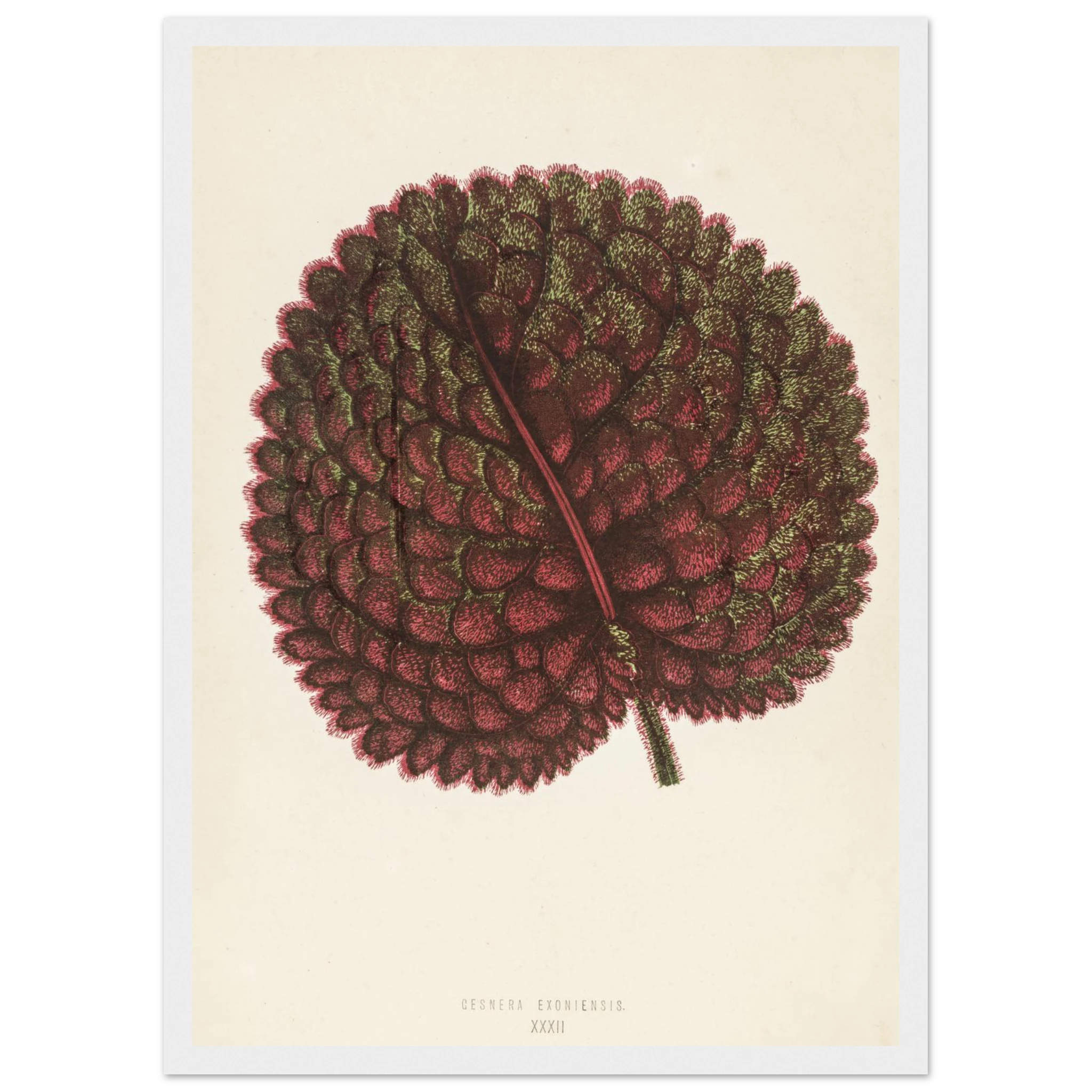 a5fd12a1-b522-46f5-b5fa-842a852ab916