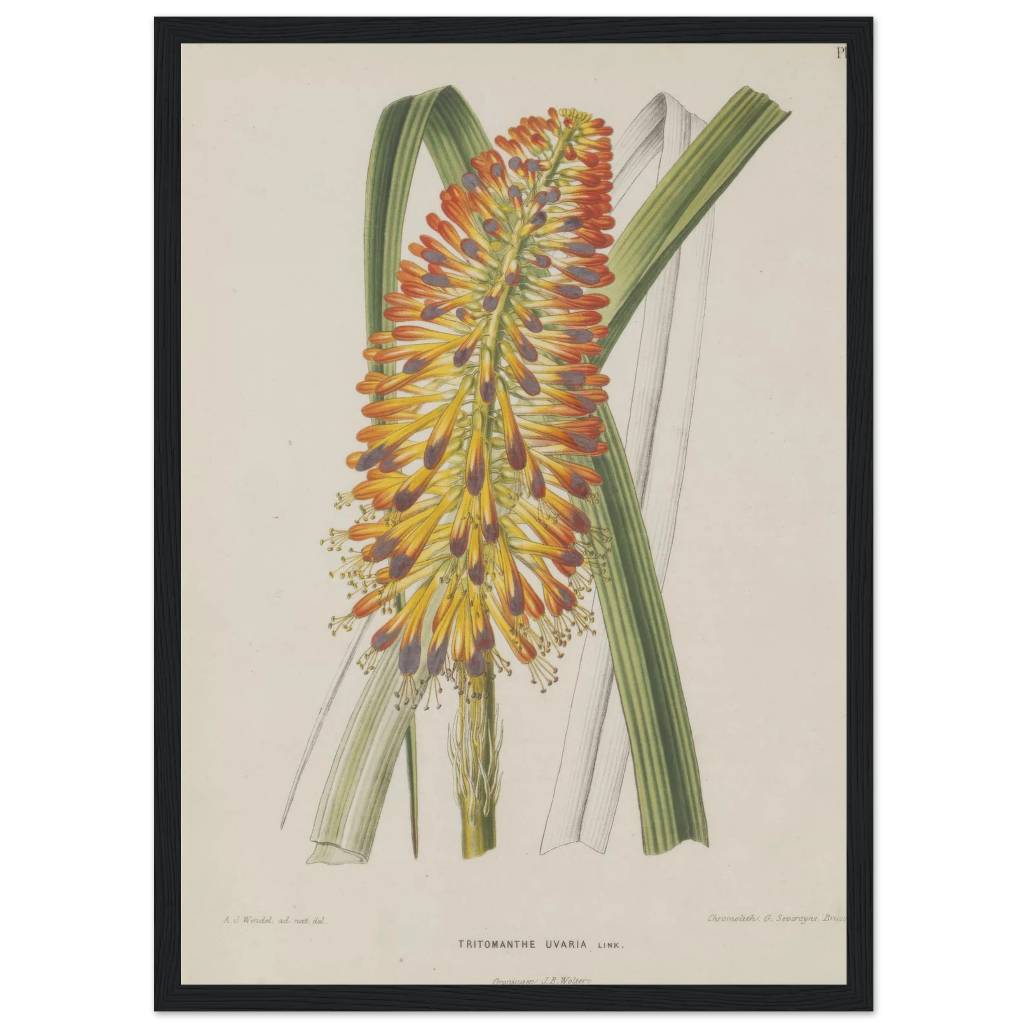 a61ab6a1-a5d4-4bd4-aa2a-a567dda1d813