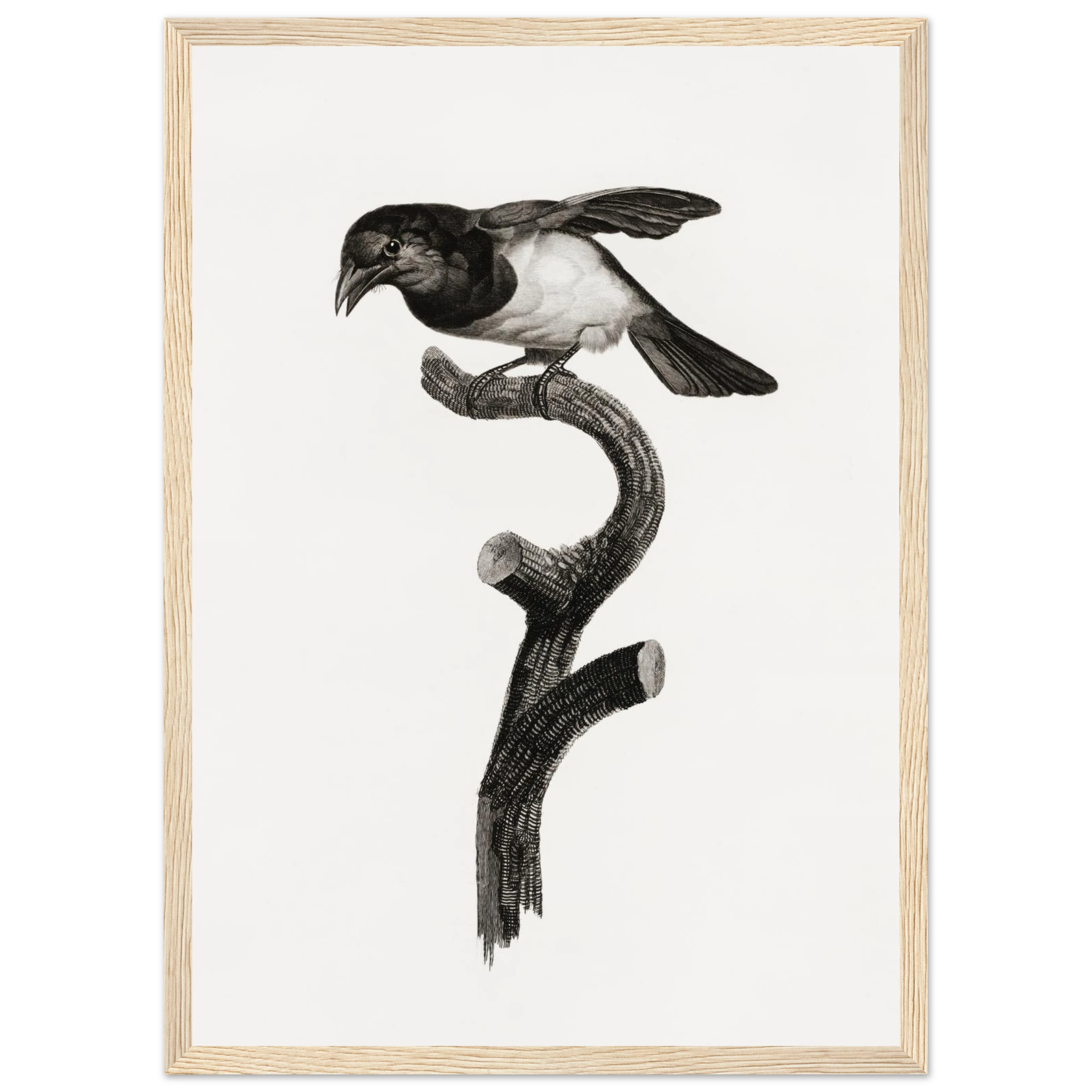 a63be9f2-2def-41a1-b7b3-4e4d39e67c53