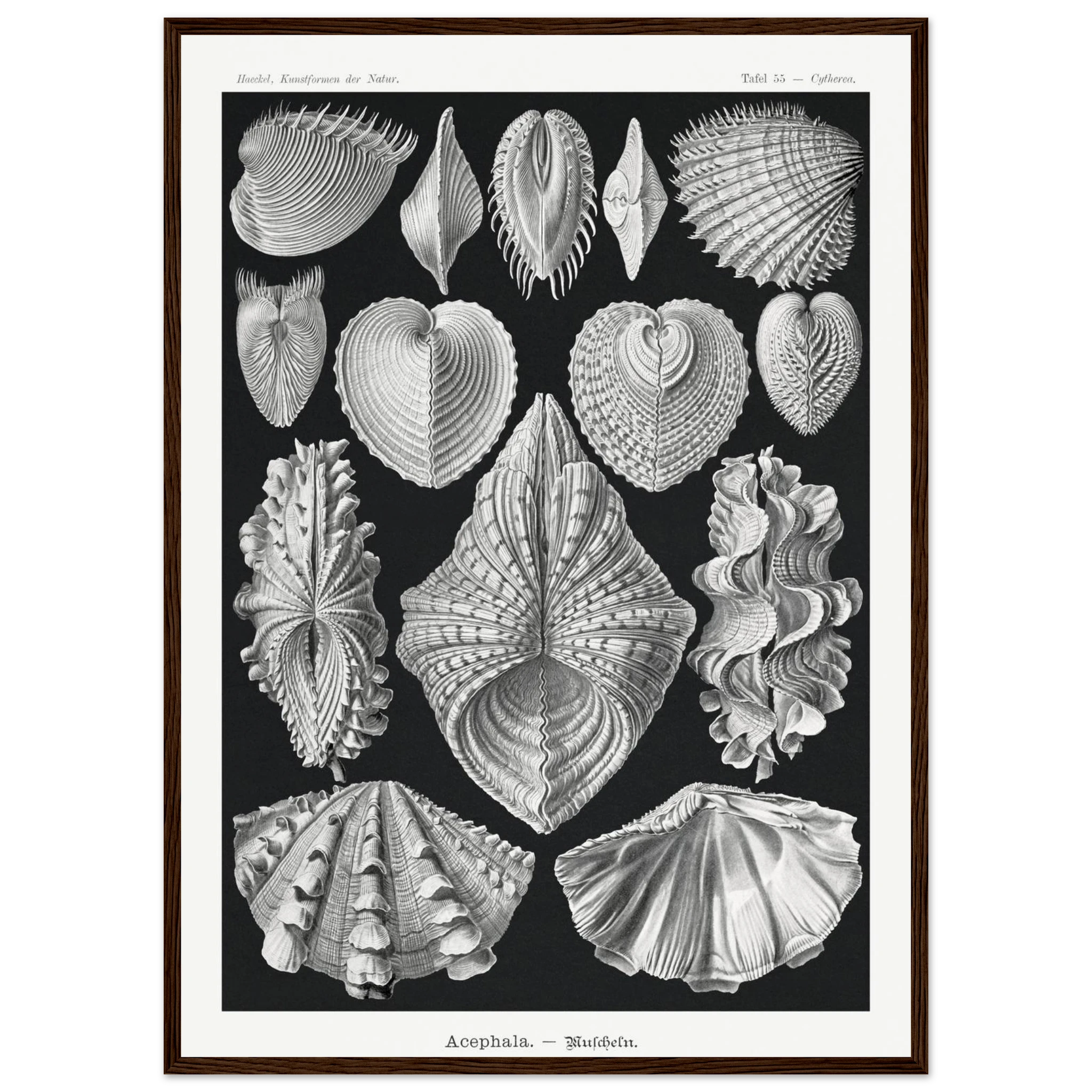 a676e48d-62fd-424f-8af2-6b4d871ca539