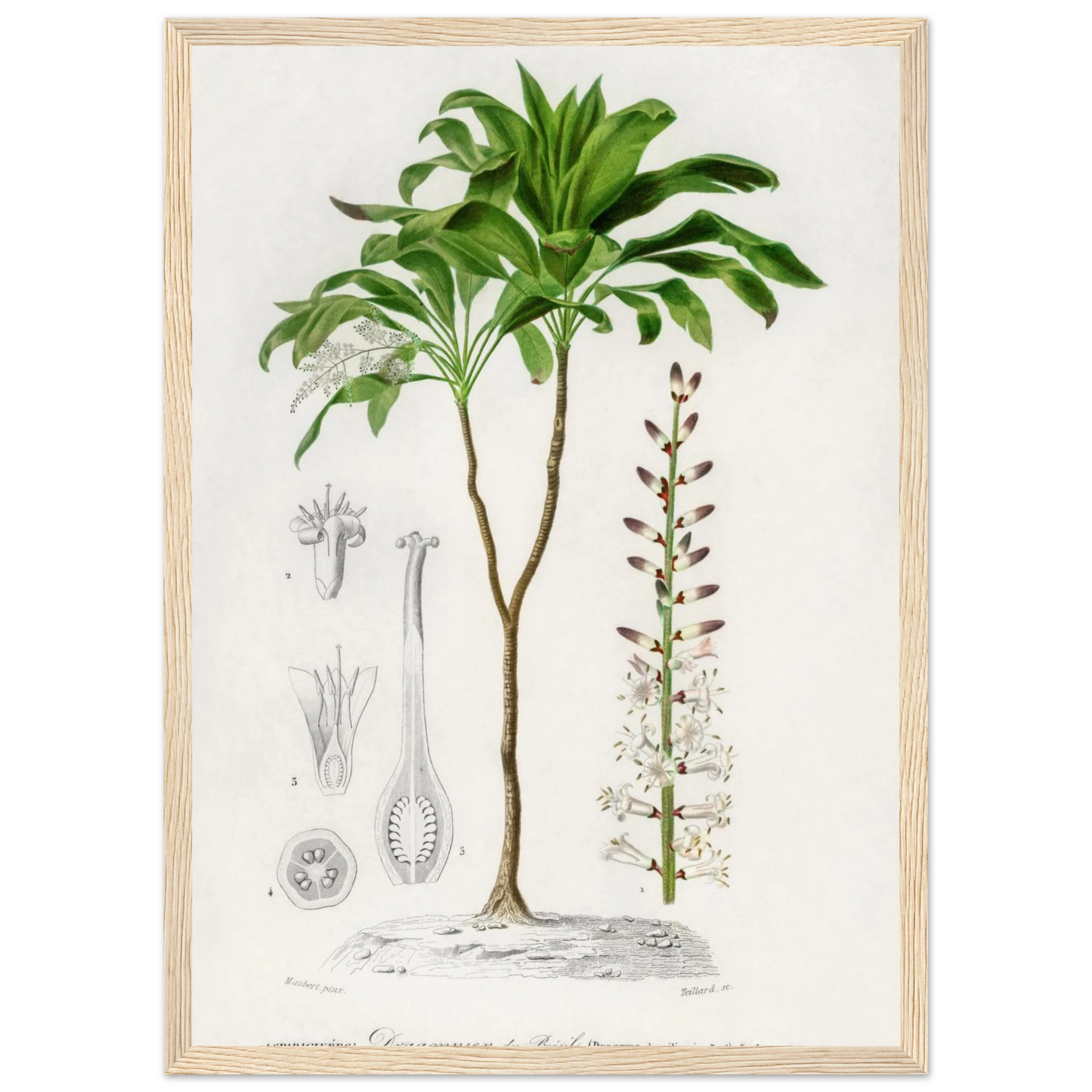 a6b1f632-ed2e-4863-a25a-e876ab2b86d8