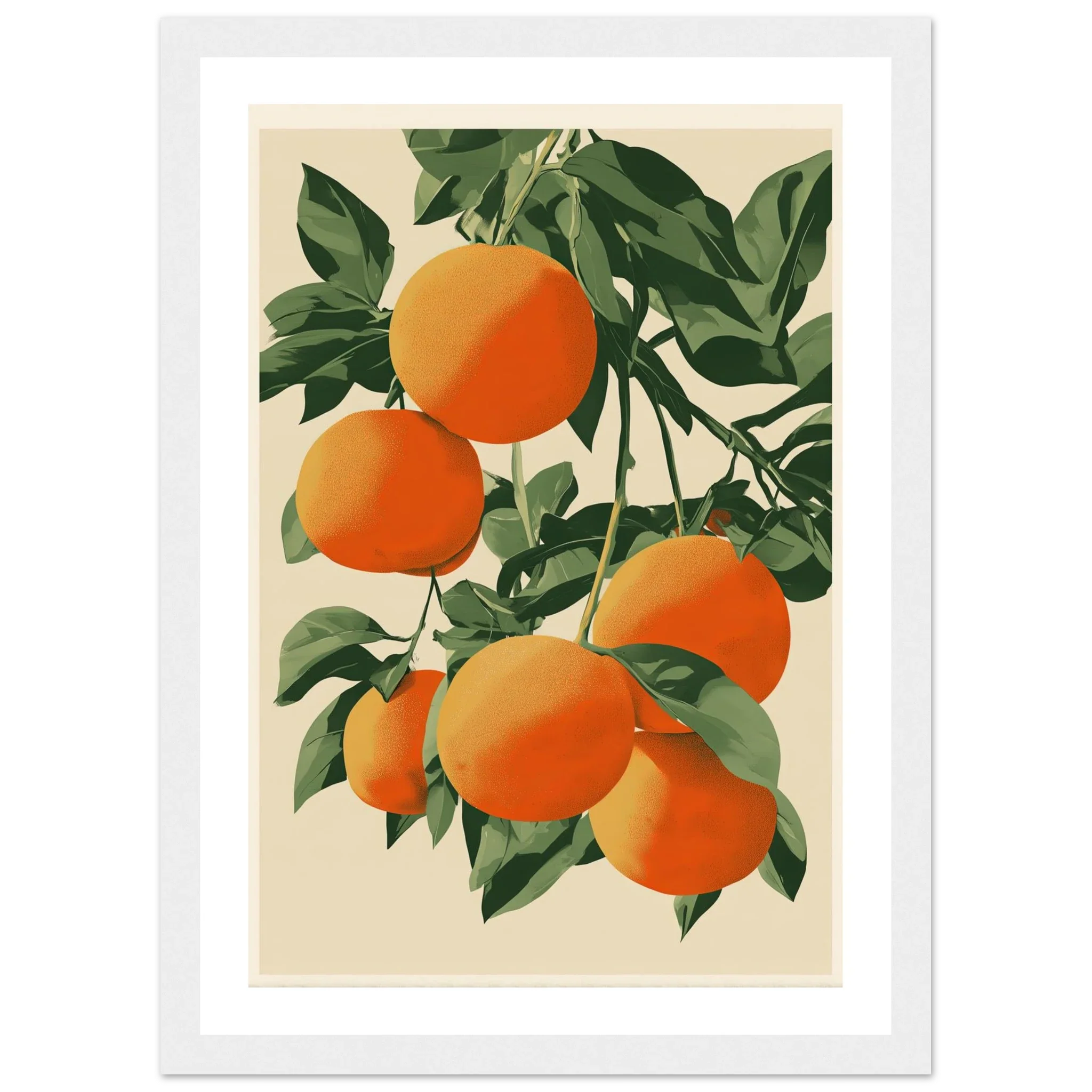 Mediterranean Oranges – Vintage Botanical Fruit Art Print