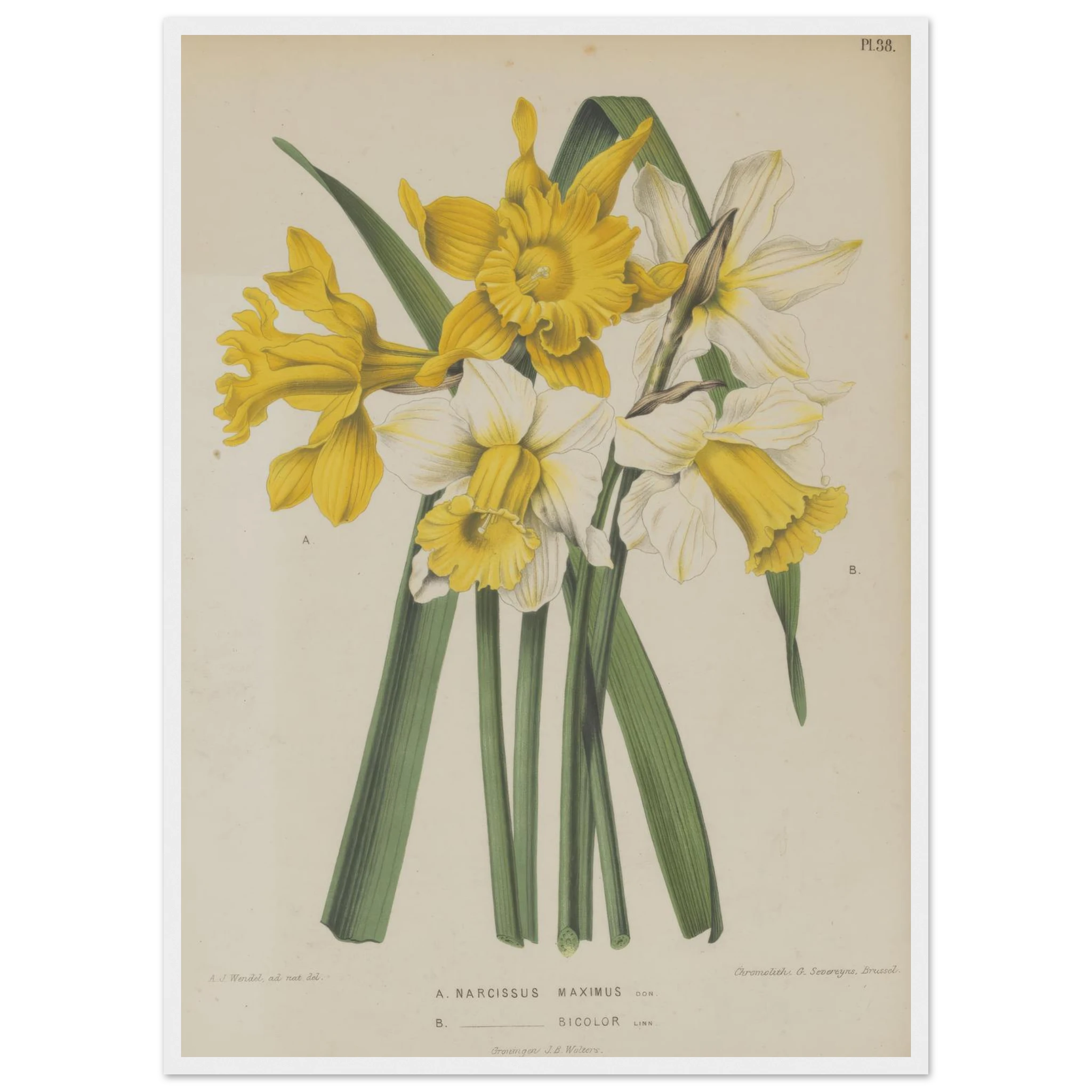 a6c376ad-eca0-4970-9e07-f0ccb73a8991