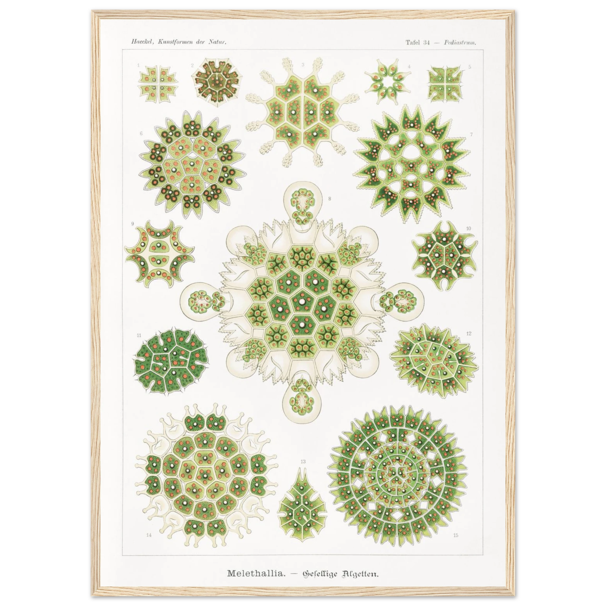 a6e81d67-7f1e-4069-9e34-347cefe65034