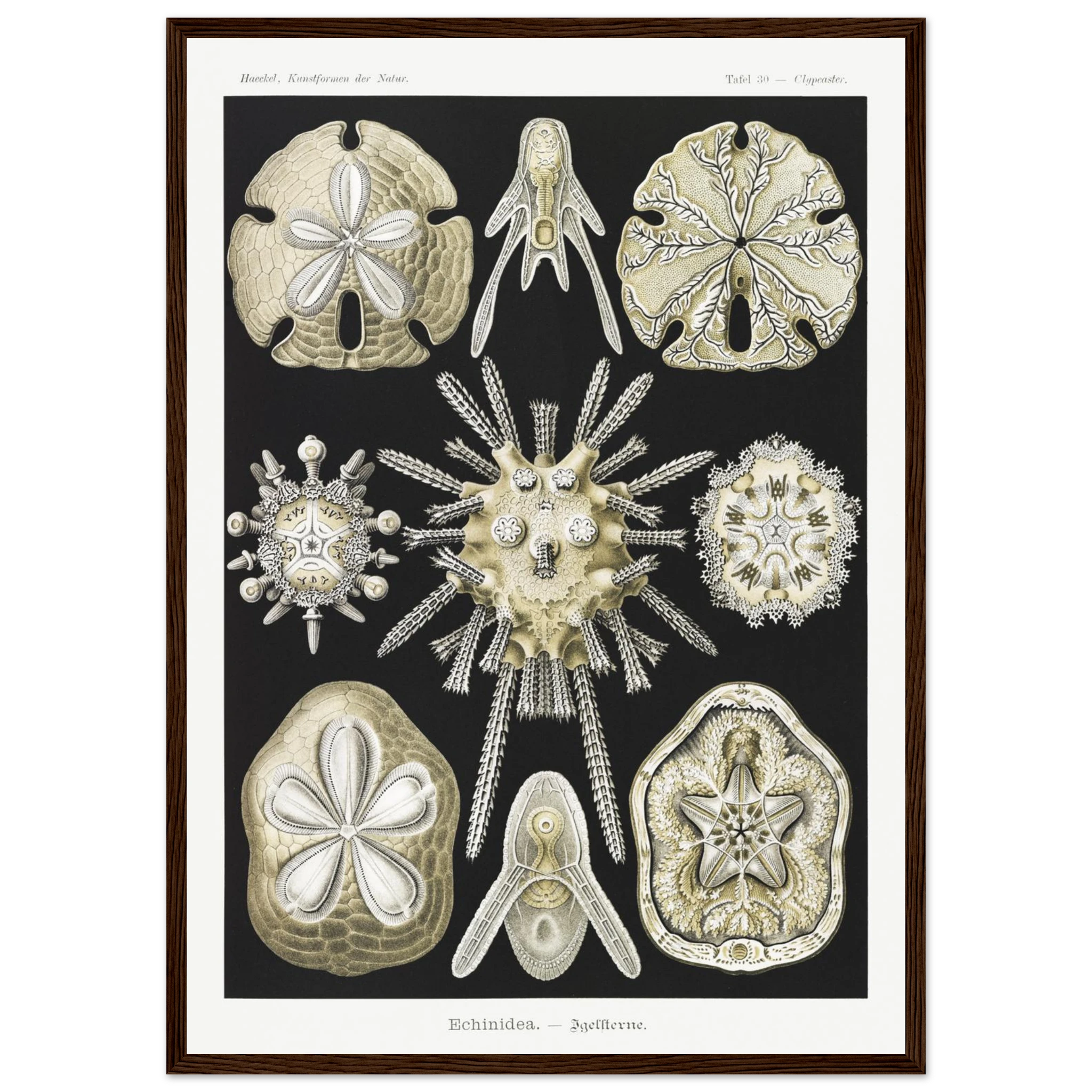 a6ed5a20-3403-4433-922c-88eb4e4fcd1b