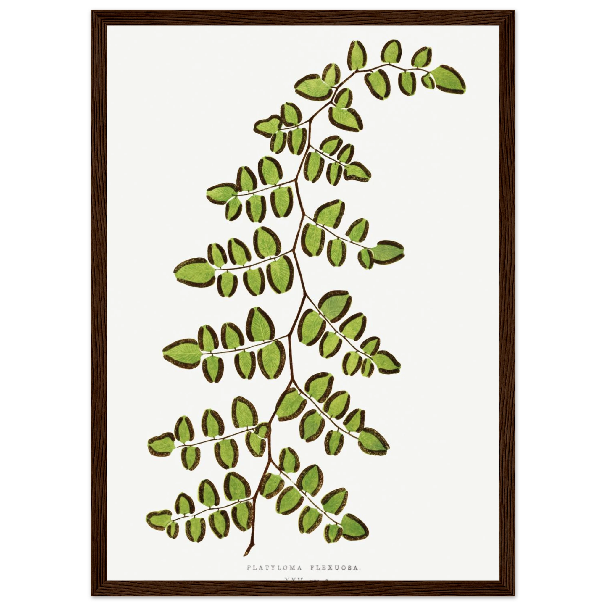 a6f469d5-c1c1-4da0-98c3-0d0037174420