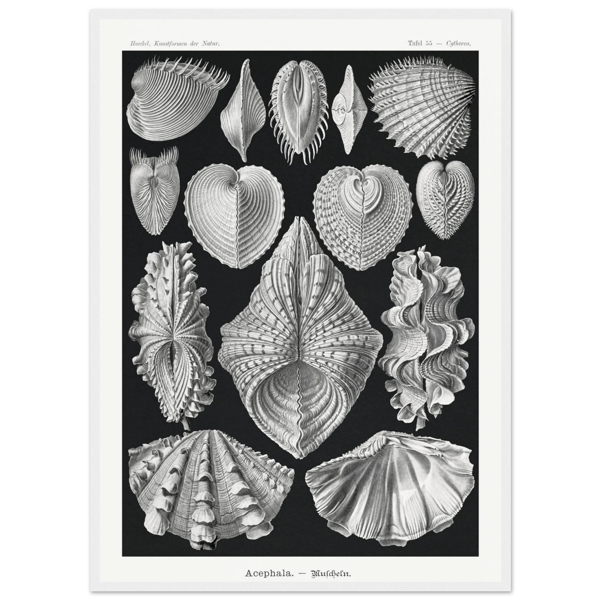 a6fc8189-23c0-48e9-bdf2-8e228156d638