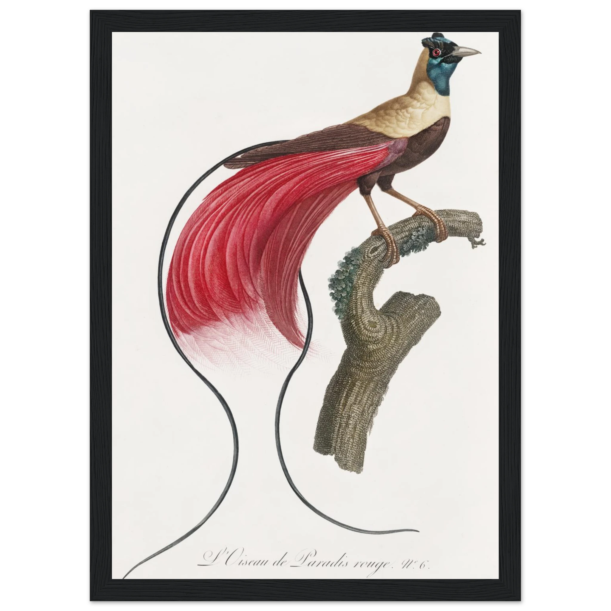 a71b5683-5bd5-48d4-b45a-f627a659fb02