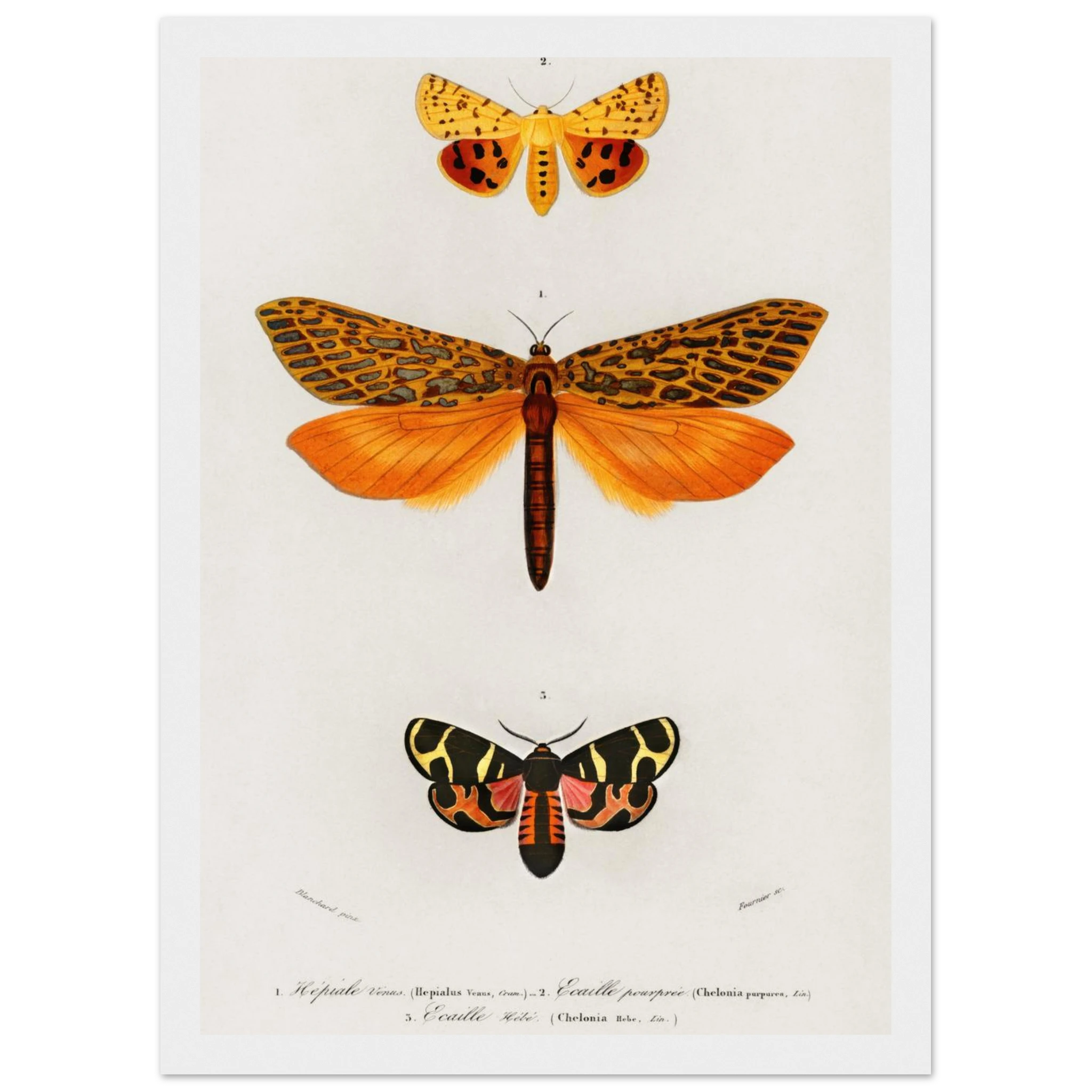 a76ae7b9-55aa-4b9e-b27a-df54101891e6