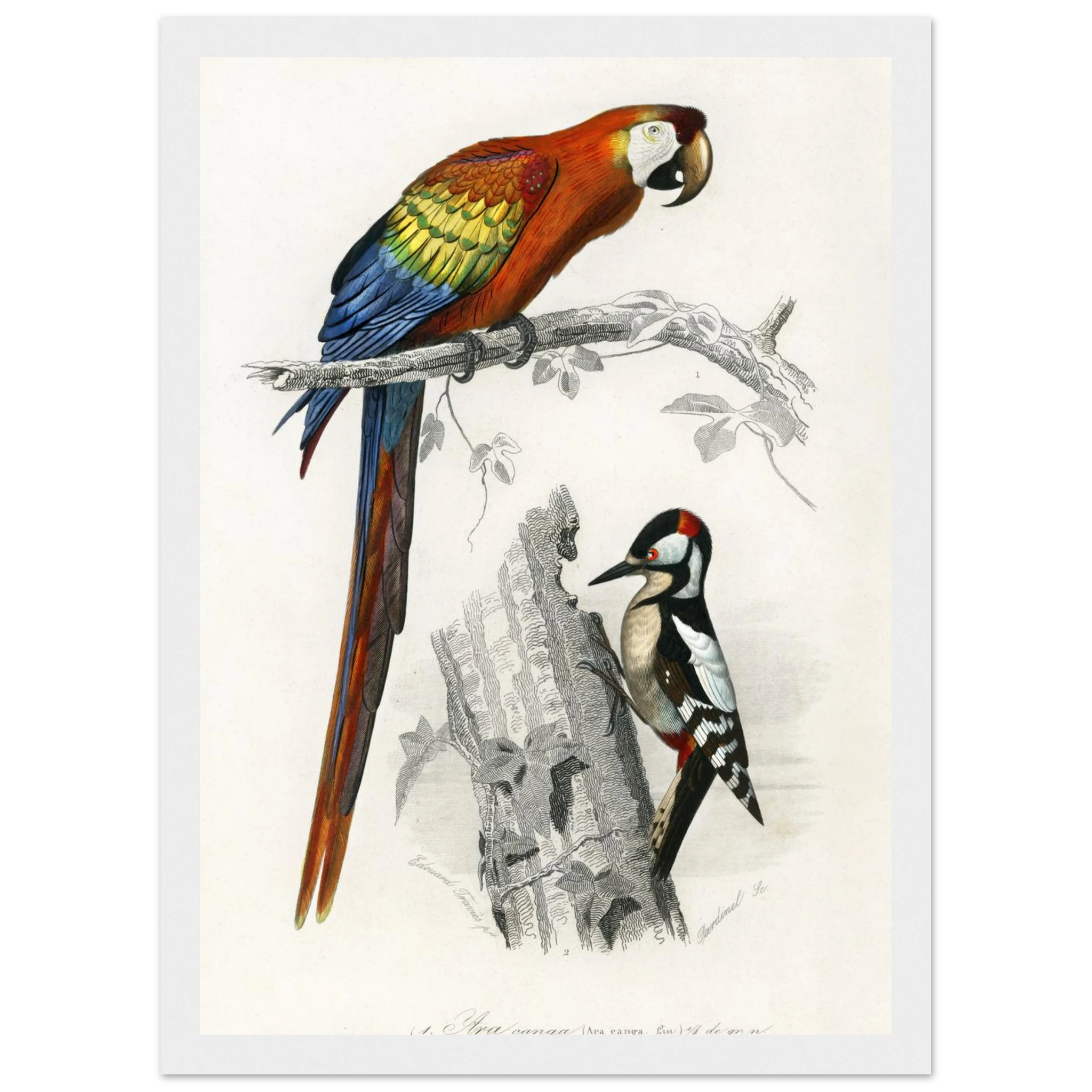 a7af0d28-d0a5-410a-869b-d33e742ed345