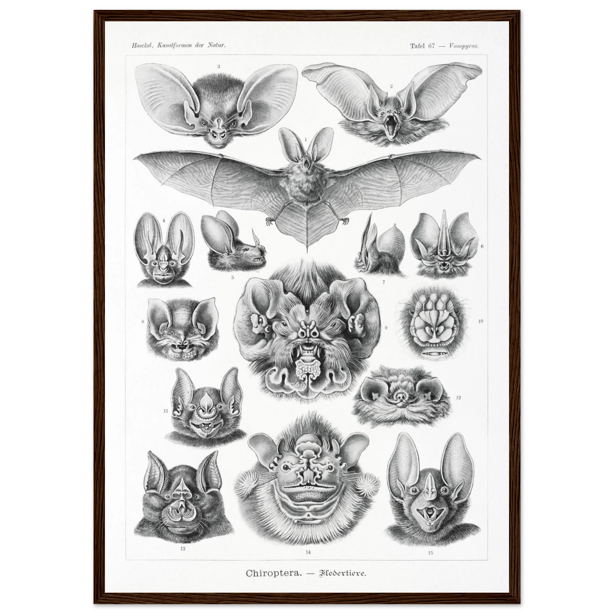 a7b40ced-183e-4bea-a7e3-1bfed4642d95